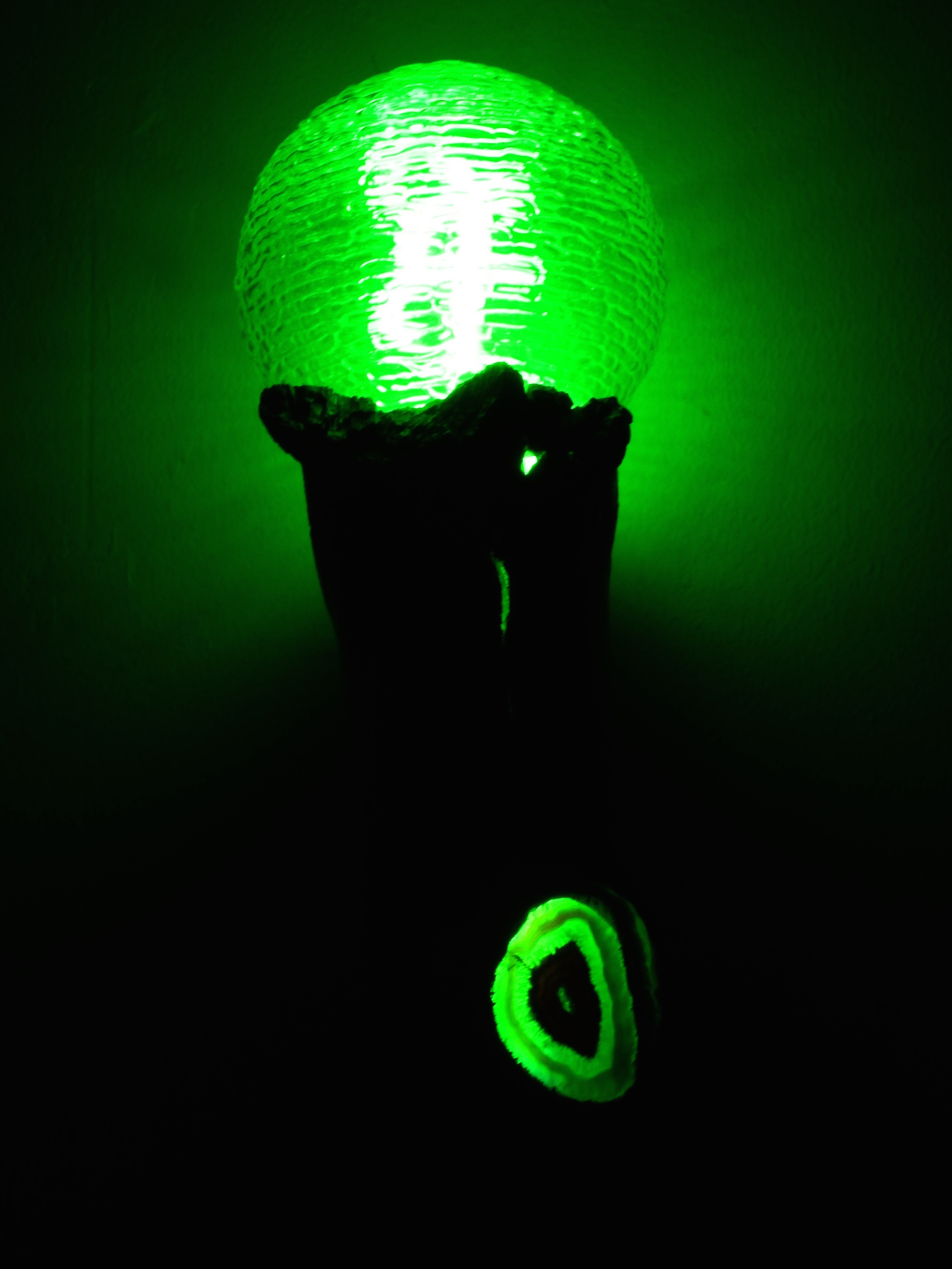 DSCF4538.jpg