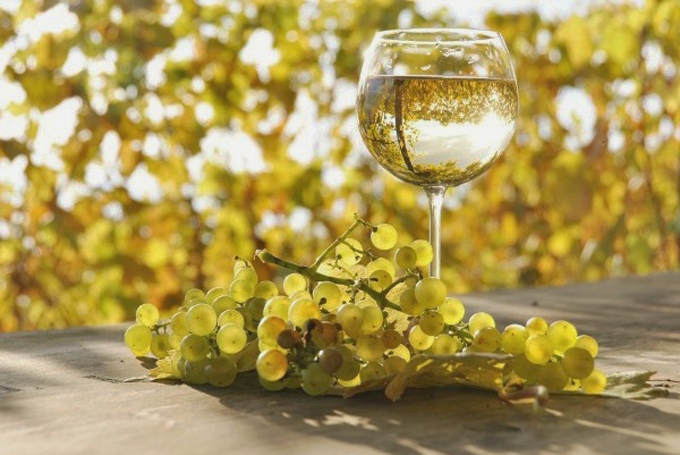 Sauvignon Blanc and the collaboration of the New Zealand wine industry is another incredible success in positioning a plant varietal grape as a world leader. 