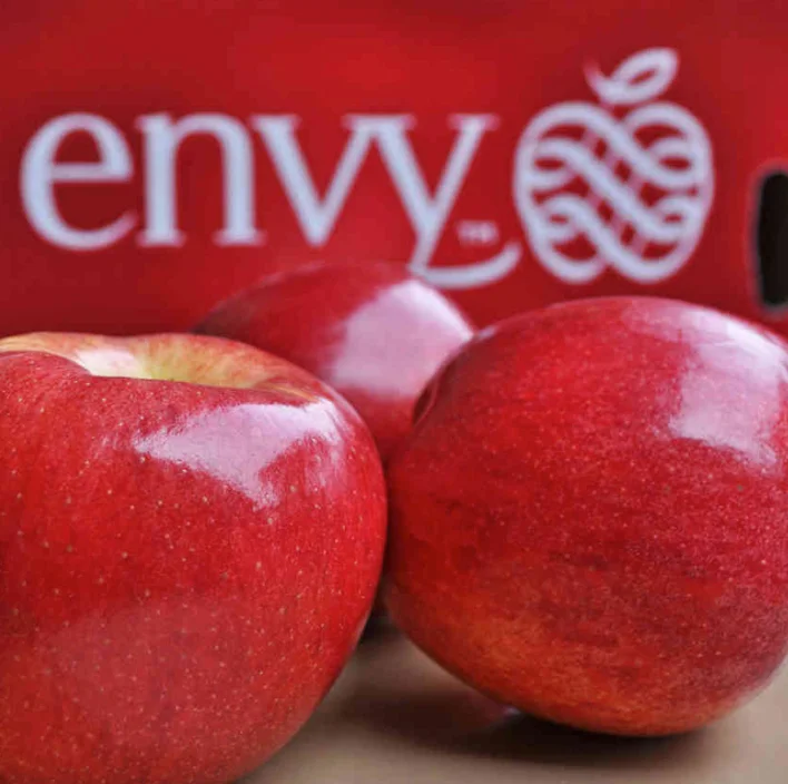 Envy Apples are currently enjoying strong sales internationally.