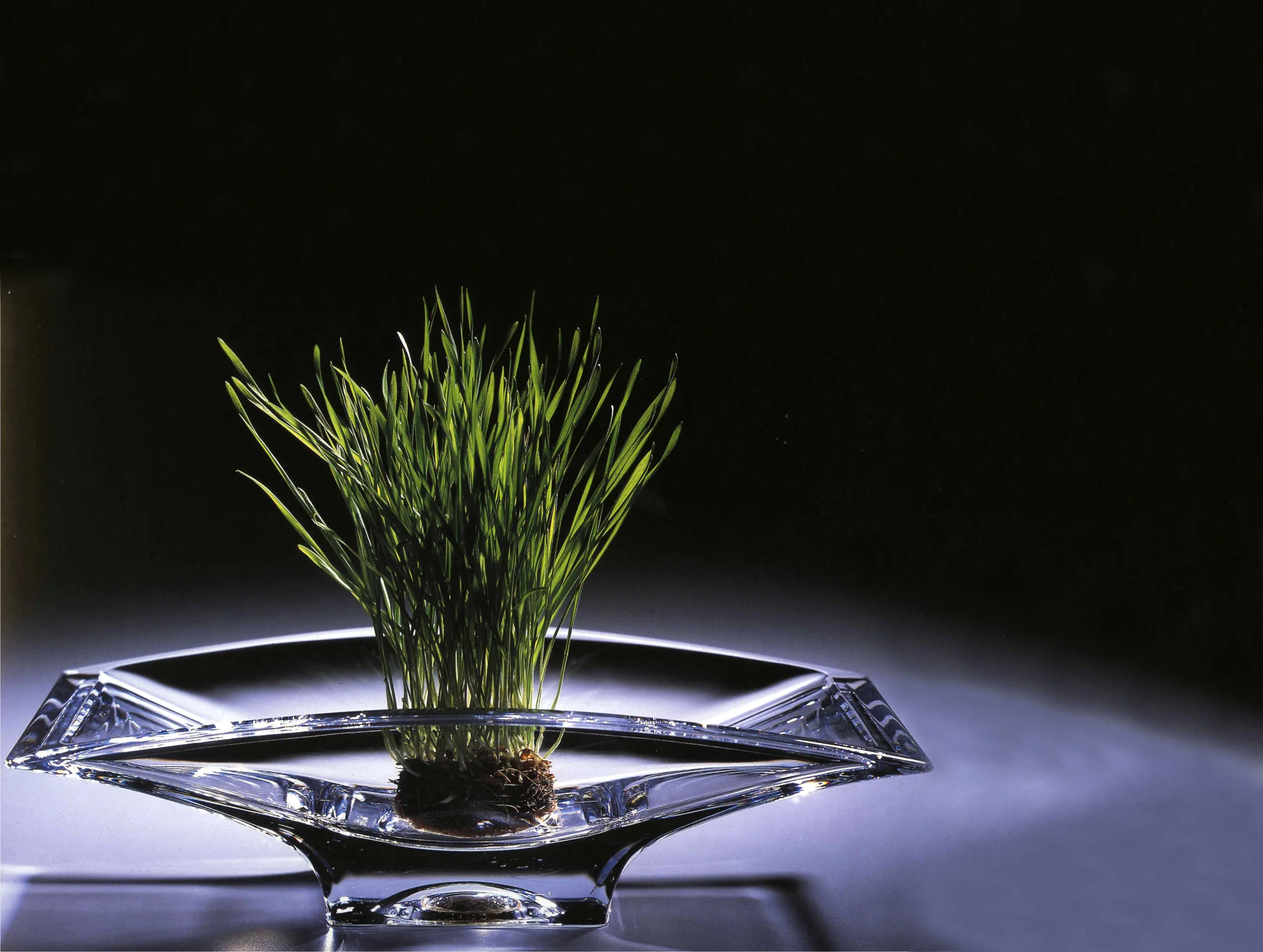 Unlocking the potential of agribusiness.