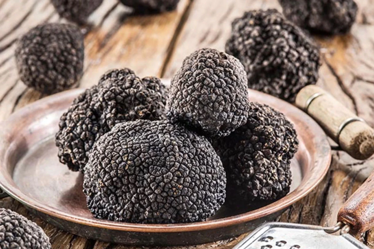 Waikato Truffles – the fruit of the Gods. Image courtesy of http://thisnzlife.co.nz/sheryn-clothier-experiments-growing-truffles-waikato-home/