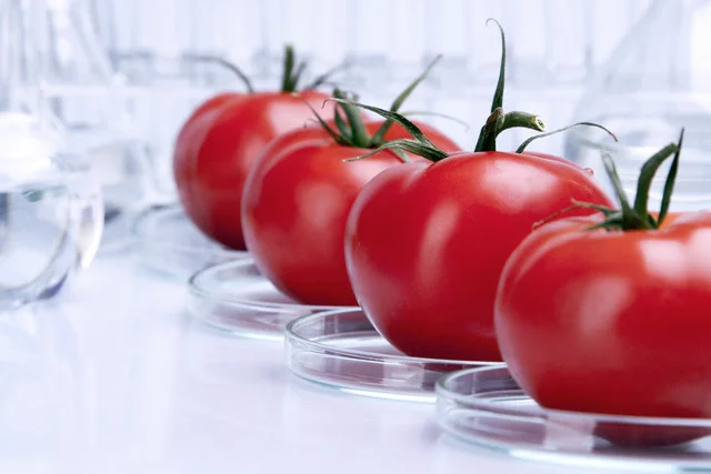 Genetic modification had been very widely used now in agriculture for a long time. It's effective and will have a big impact on the ability of the world to feed itself or to make bio-fuels. Image courtesy of http://bigthink.com/60-second-reads/the-argument-for-genetically-modified-foods