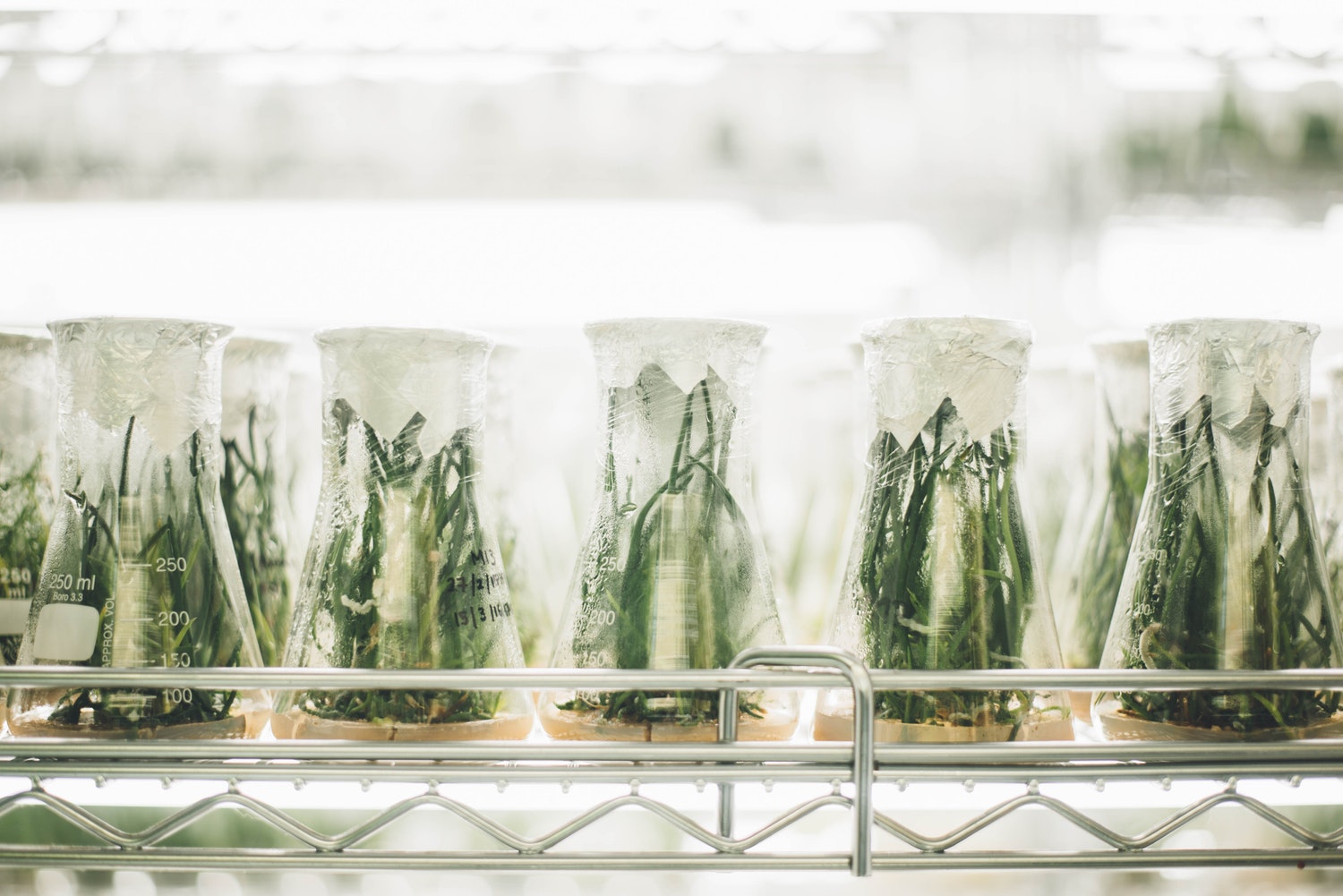 Unlocking the wealth of ideas in our labs developing unique intellectual property.
