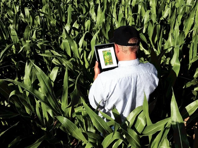 Environmental farming with data will be an absolute necessity. Image courtesy of https://geneticliteracyproject.org/2016/04/28/turning-potential-big-data-agriculture-farmer-consumer-benefits/