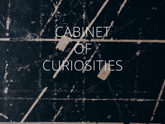 EllefolkGazette_CabinetOfCuriosities_Landscape_2.jpg