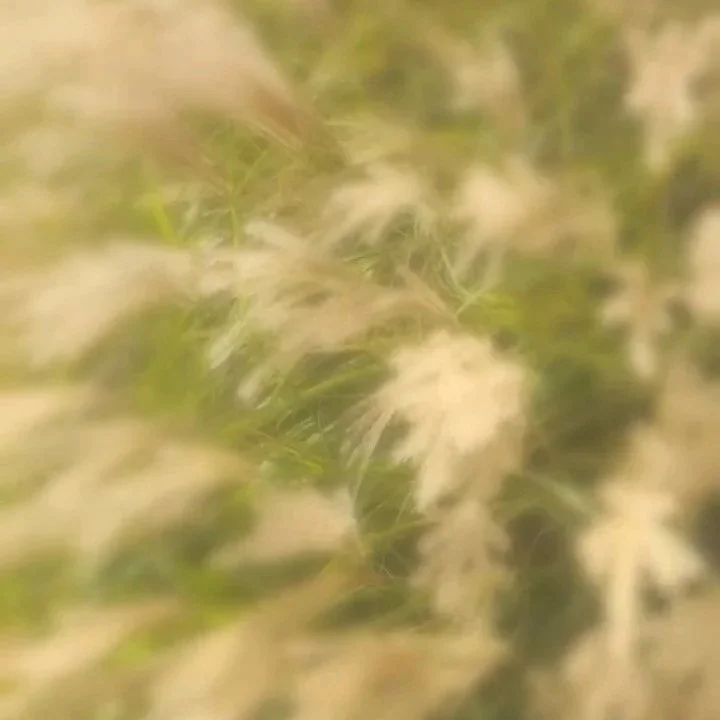 PSYCHEDELIC SUPPORT GUIDE $10 (coming soon)