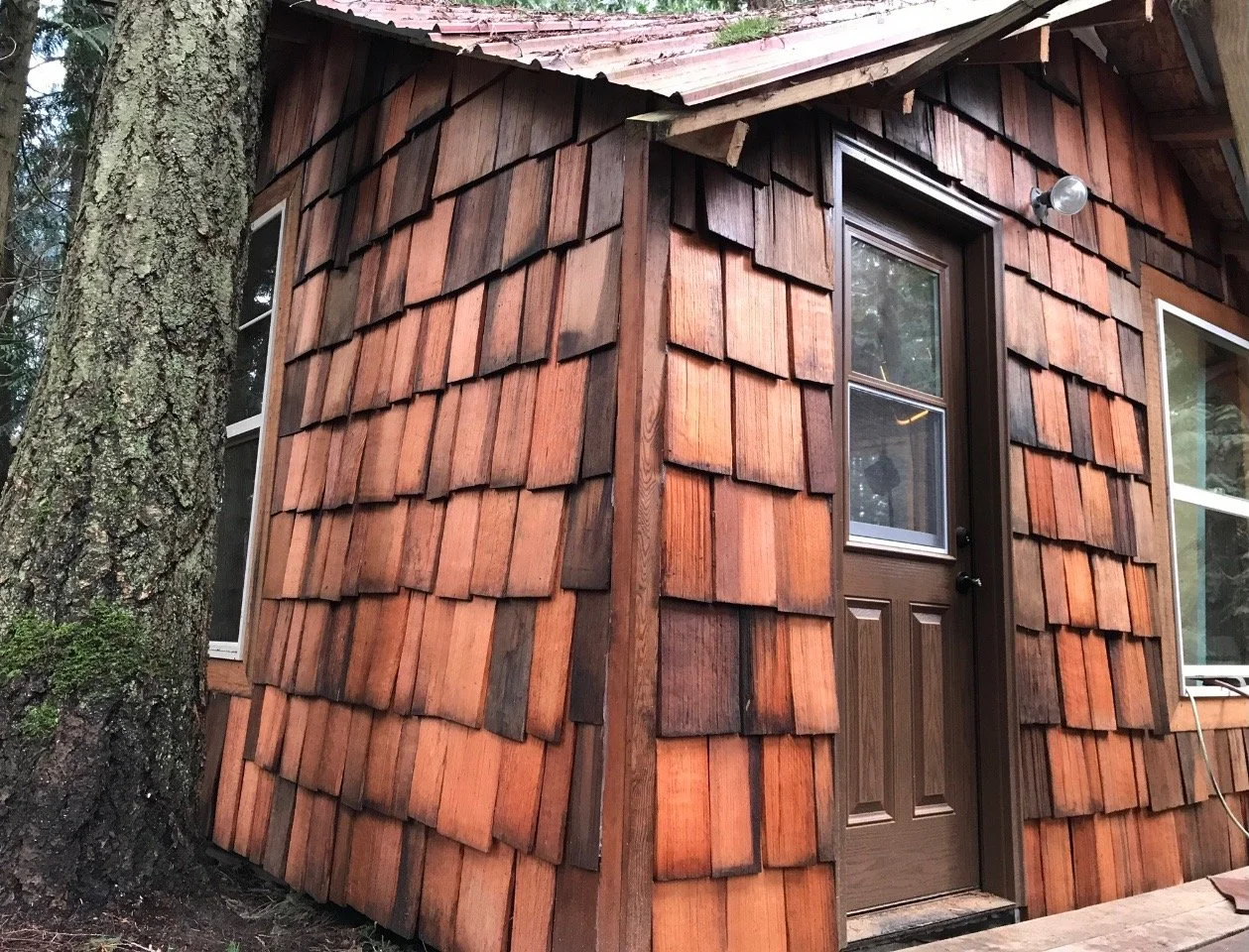 The Rebuild of Home for Clove, The Listening Atlas, and Me