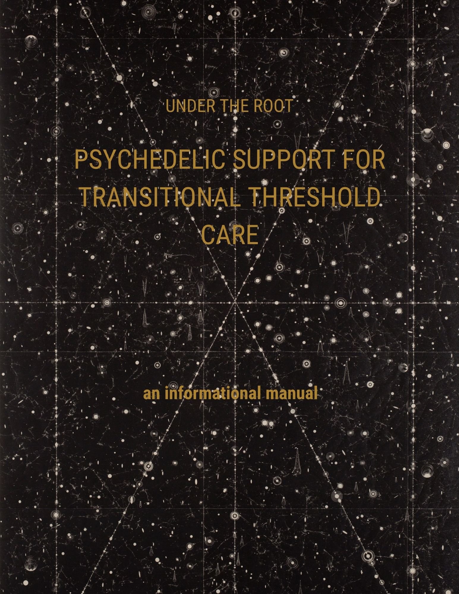 1_PsychedelicSupportForTransitionalThreshold_Primer_UTR.jpg