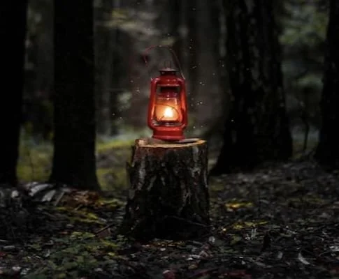 red lantern sitting on tree stump in the forest