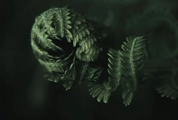 the quietest deaths are often the most prepared