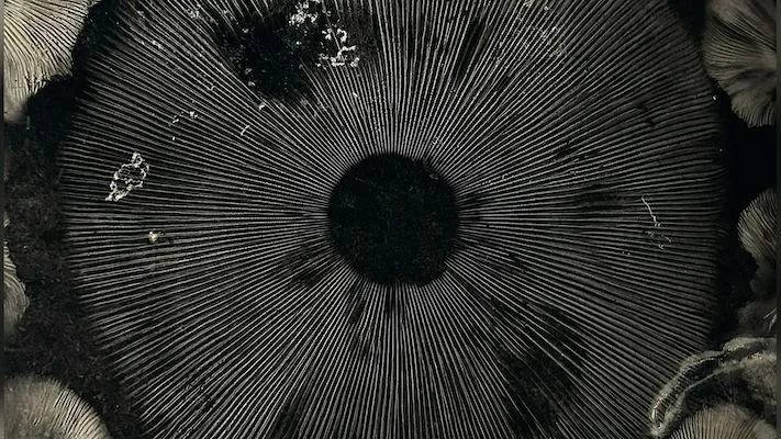 the quietest deaths are often the most prepared