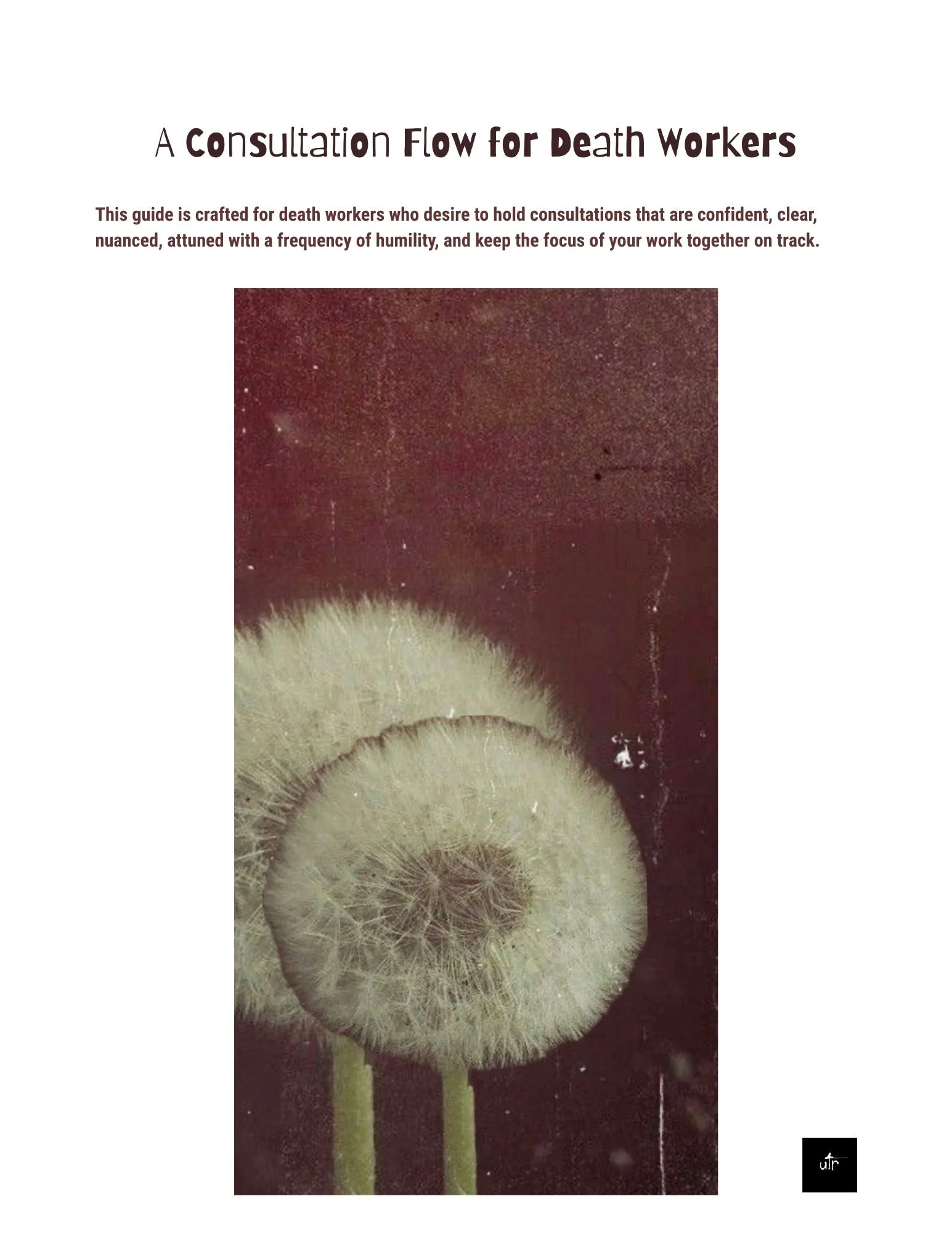 1_DeathWorkerConsultationGuide_UTR.jpg