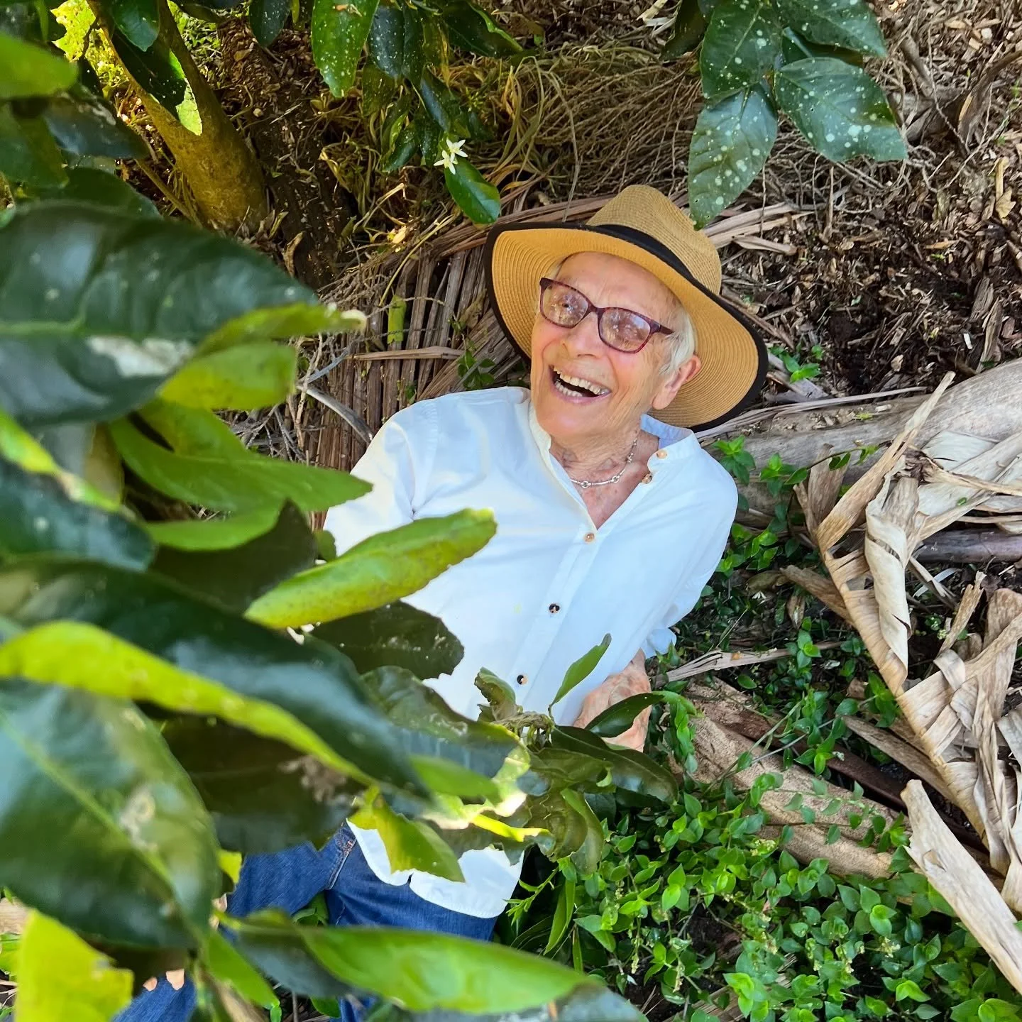 I love this photo of my mum lying on the ground in our orchard. 

I took it on the last day of her recent visit. We were doing a last inspection of the citrus trees. 

I said to her, &lsquo;Let me get a photo of you in your natural habitat, Mum.&rsqu