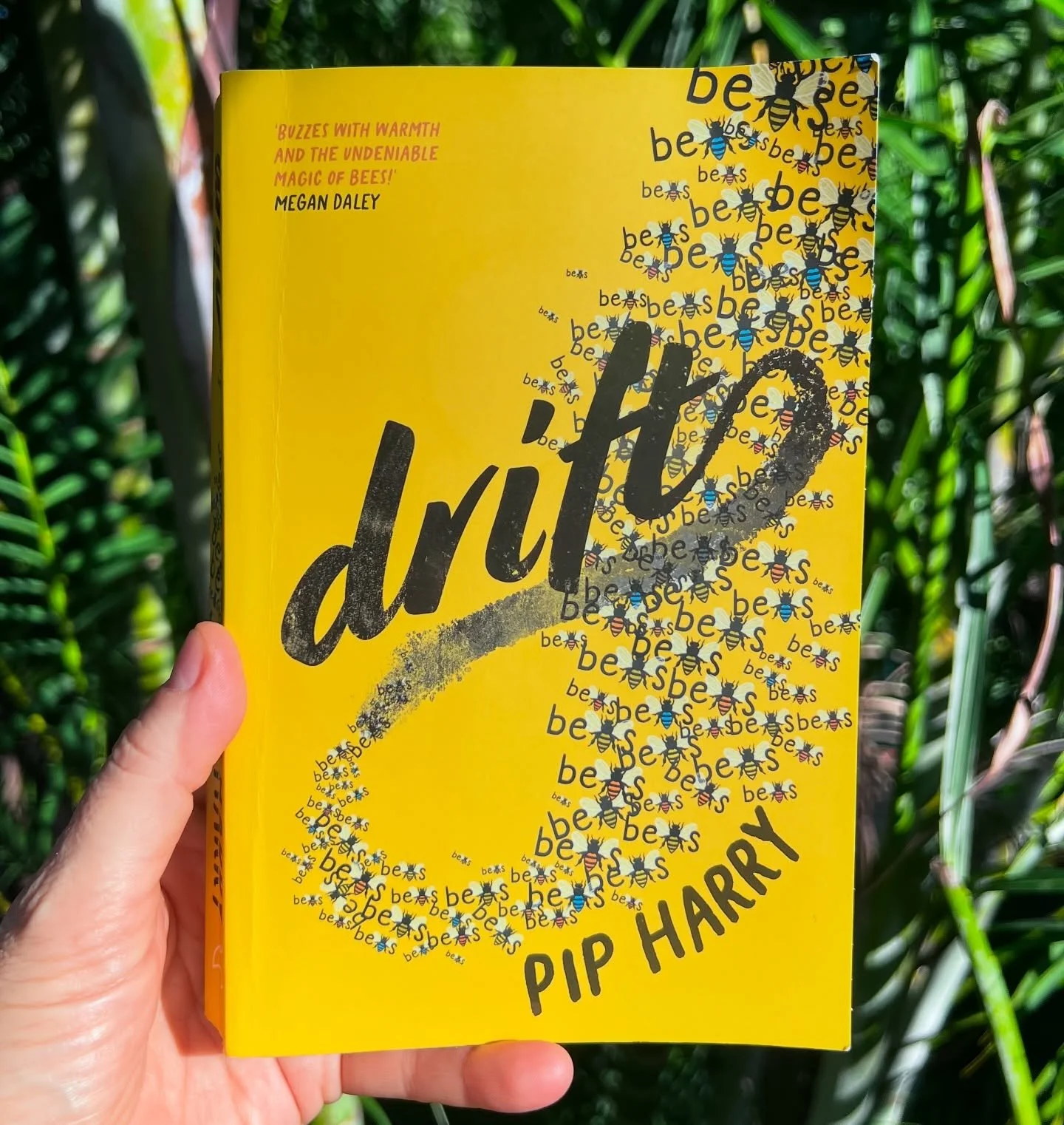 This verse novel by Pip Harry is a fast and satisfying read. Told in alternating perspectives, we first meet fourteen-year old Nate who has just moved back to Australia and is starting at a new school. His mum is unwell and his dad is still back in S