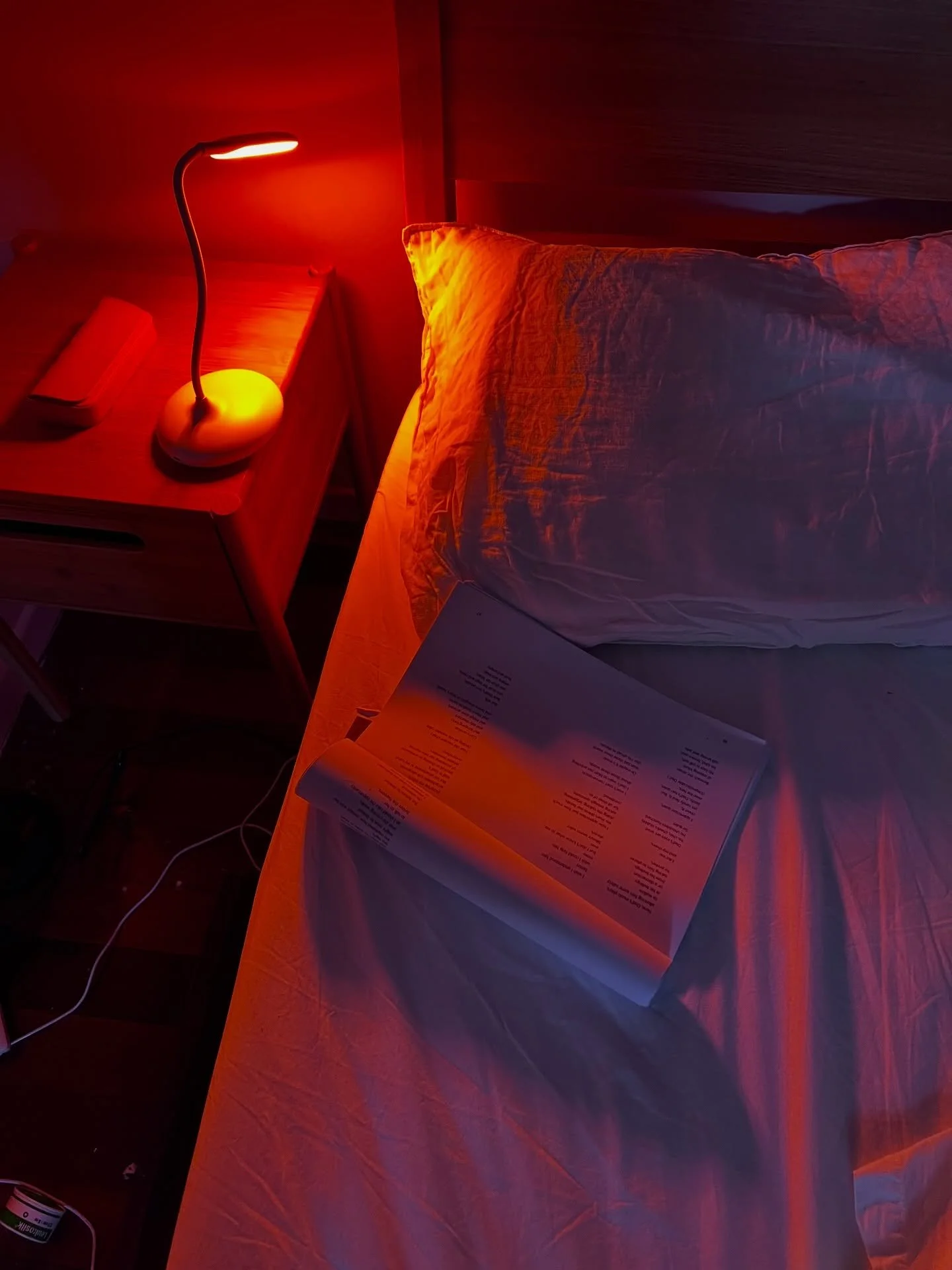 Every night lately, I&rsquo;ve been hurrying off to bed (my only real reading time at the moment) to read more of this (by the cosy light of my red lamp; I&rsquo;m working on my circadian rhythm).

It&rsquo;s an advance copy of a kids novel coming ou