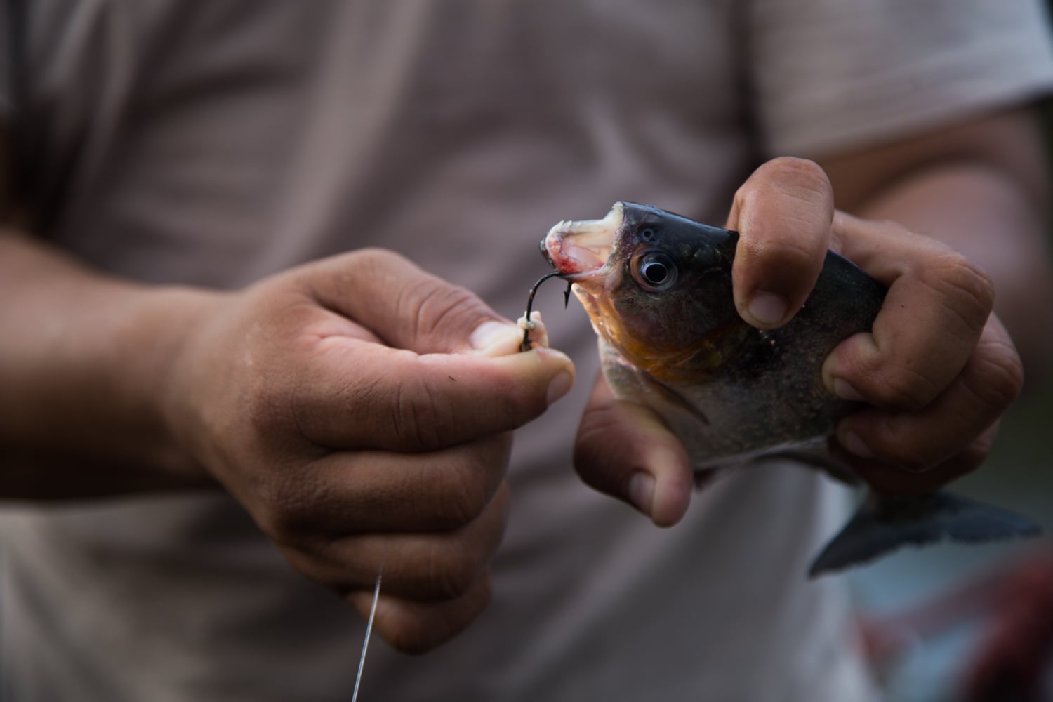 Stoll_Shira_2015_PiranhaFishing_2.jpg