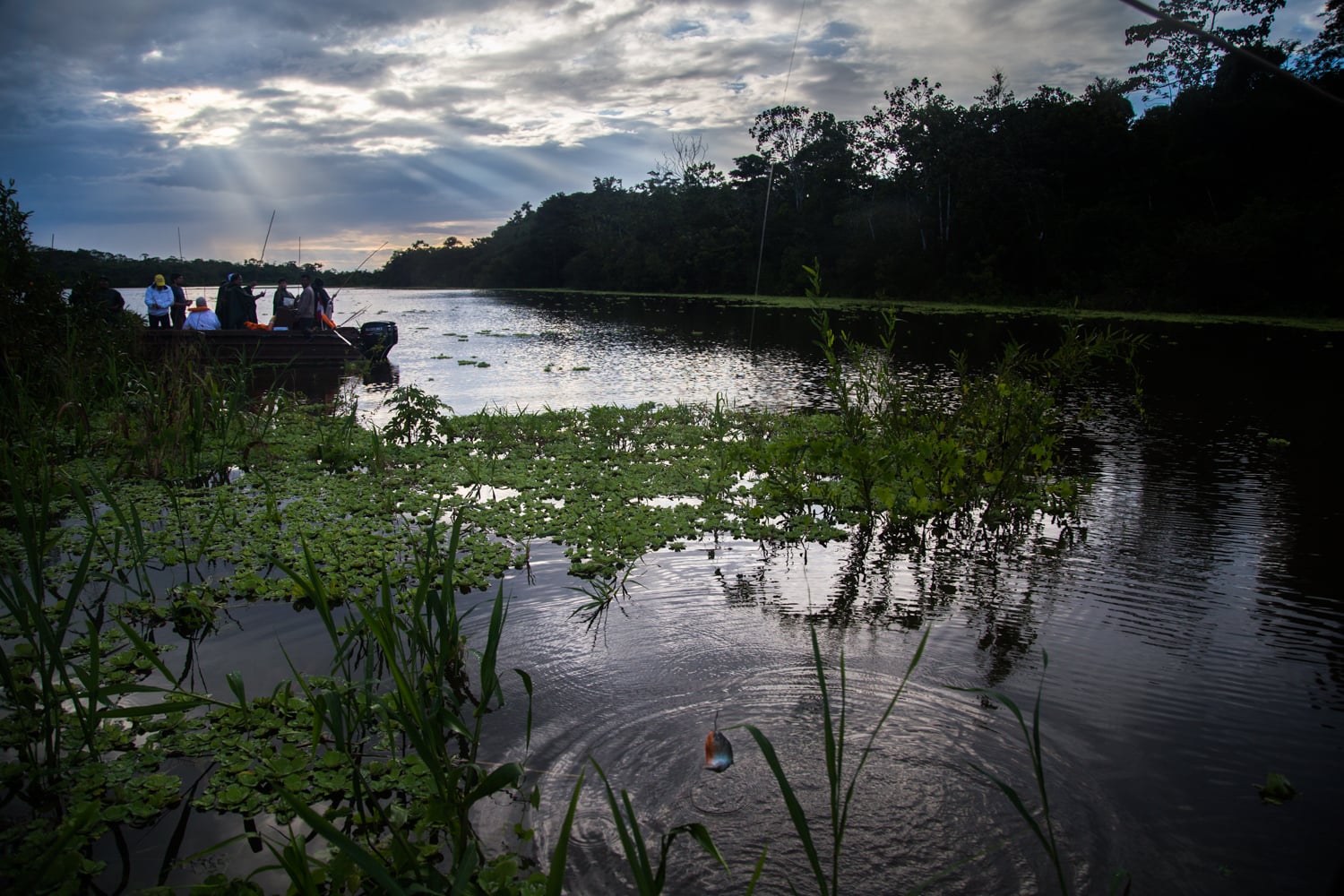 Stoll_Shira_2015_PiranhaFishing_1.jpg