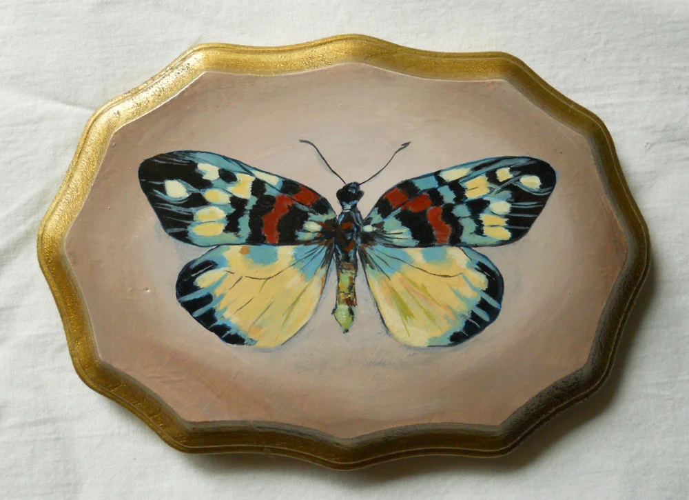 erasmia pulchella , acrylic on wood 7" x 5"