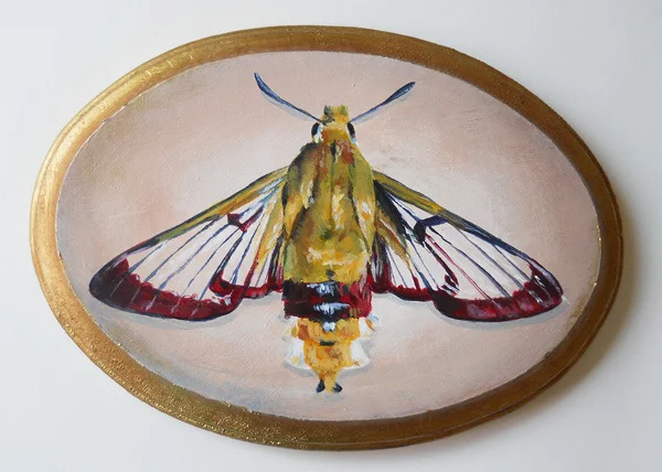 bee hawk moth , acrylic on wood 7" x 5"
