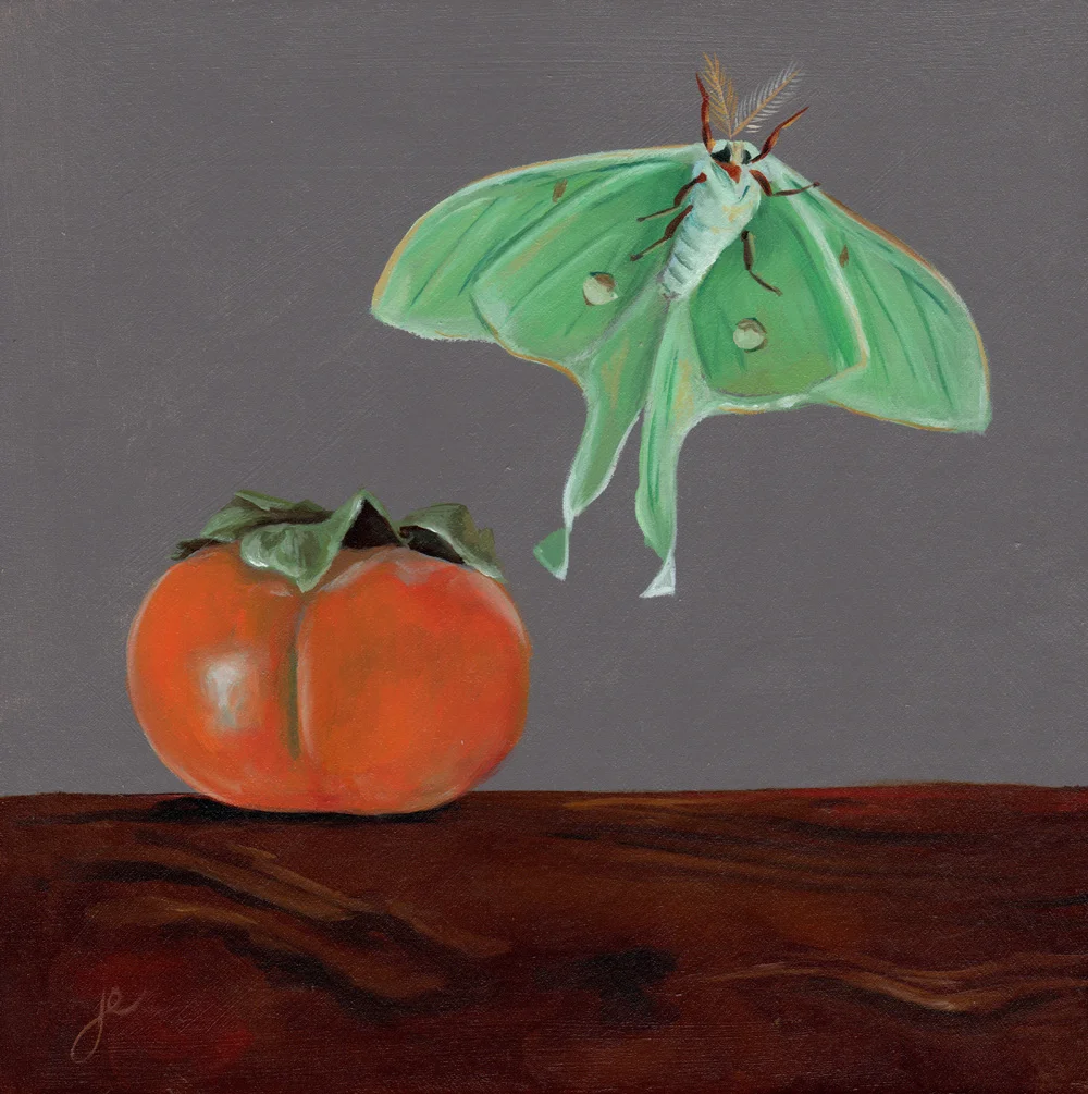 moths in the kitchen 2 oil on wood 8" x 8"
