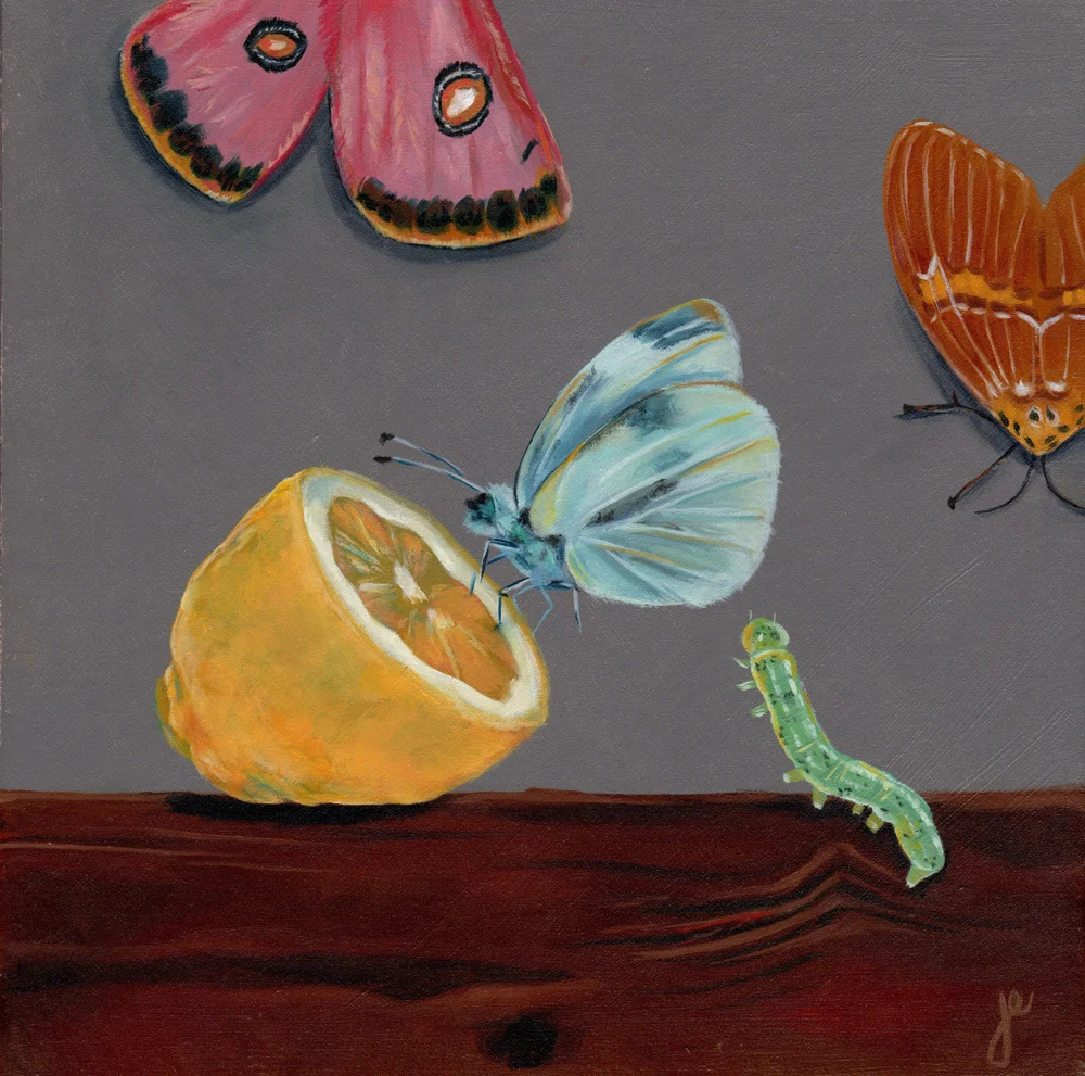 moths in the kitchen 10 oil on wood 8" x 8"
