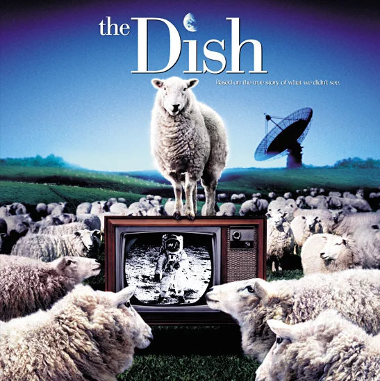 161. The Dish