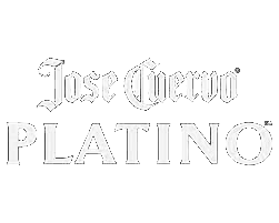 platino_logo.png