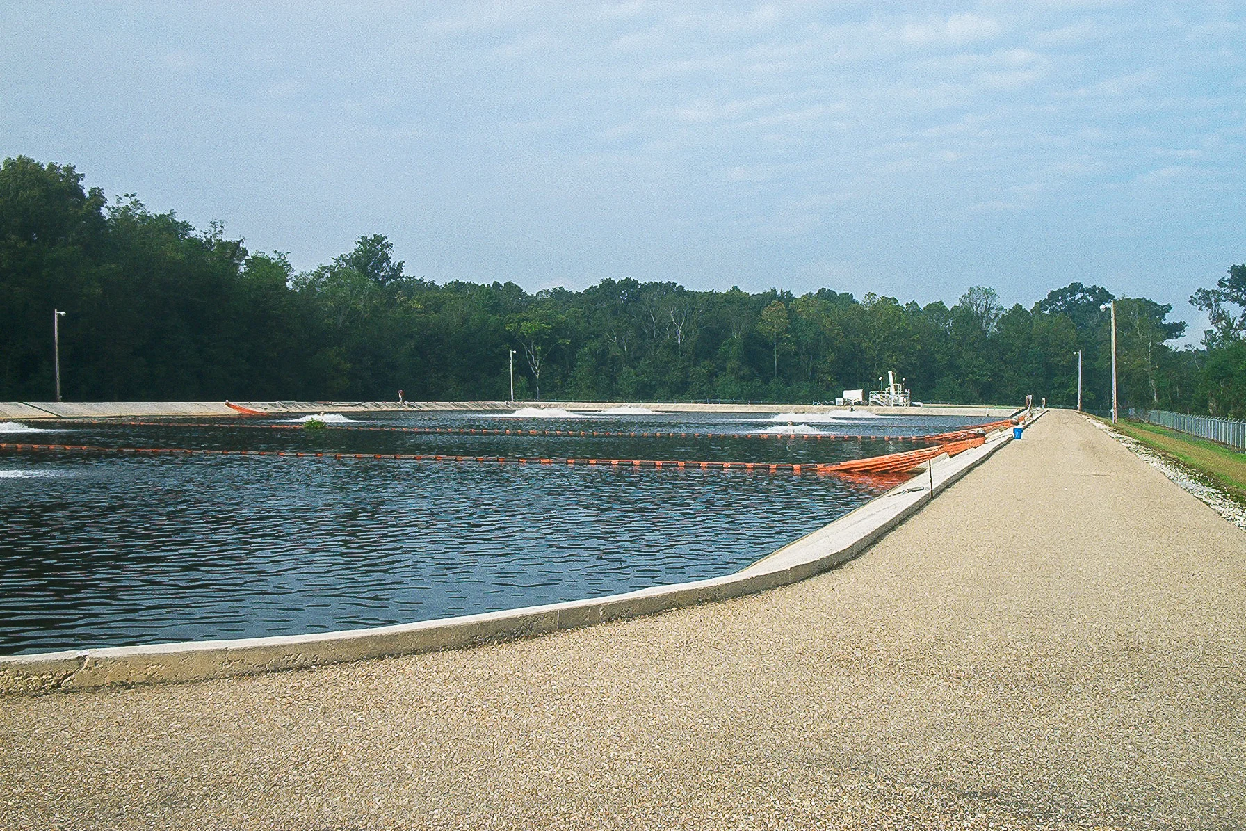MSH-004.jpg