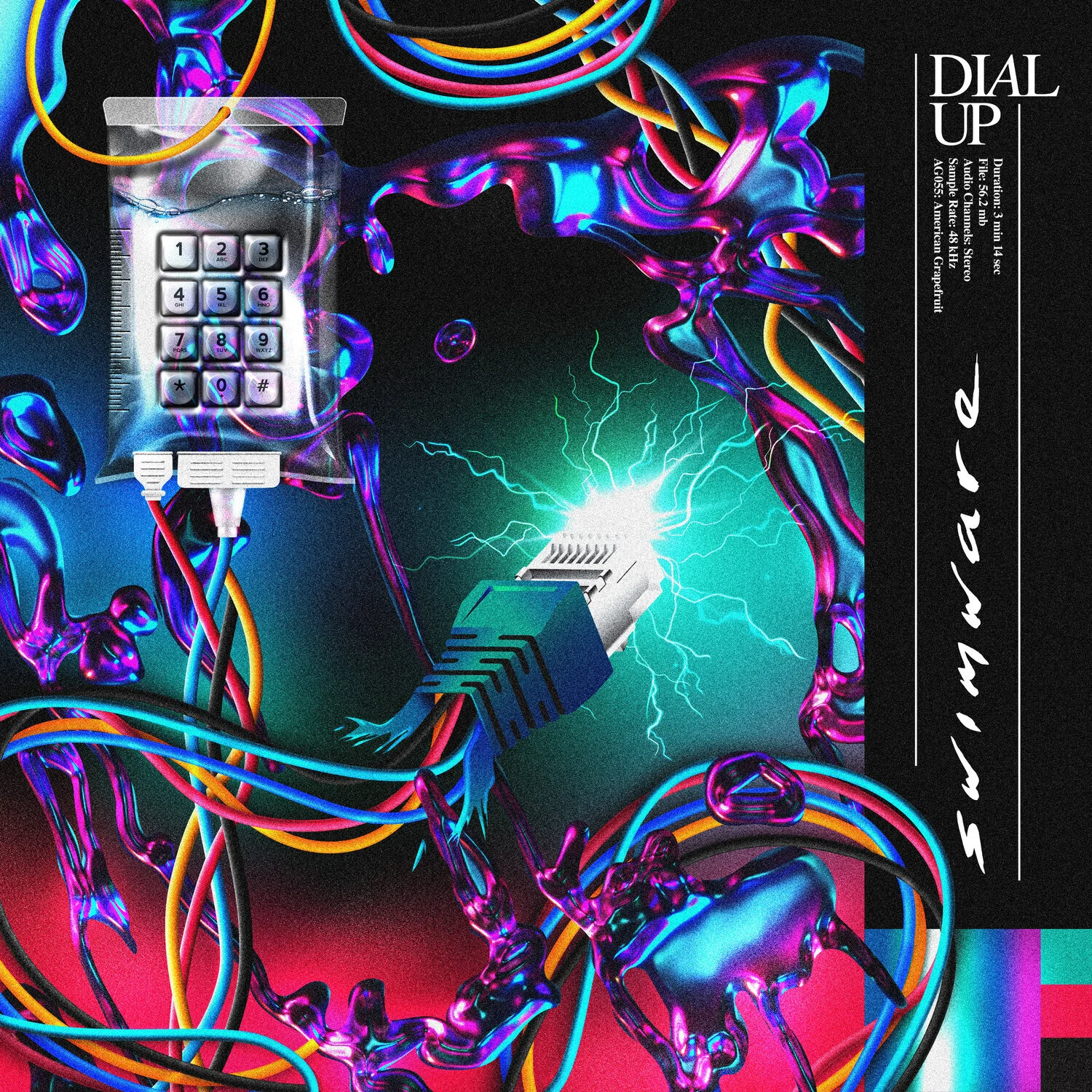 SWM-DialUp-Final-012321.jpg