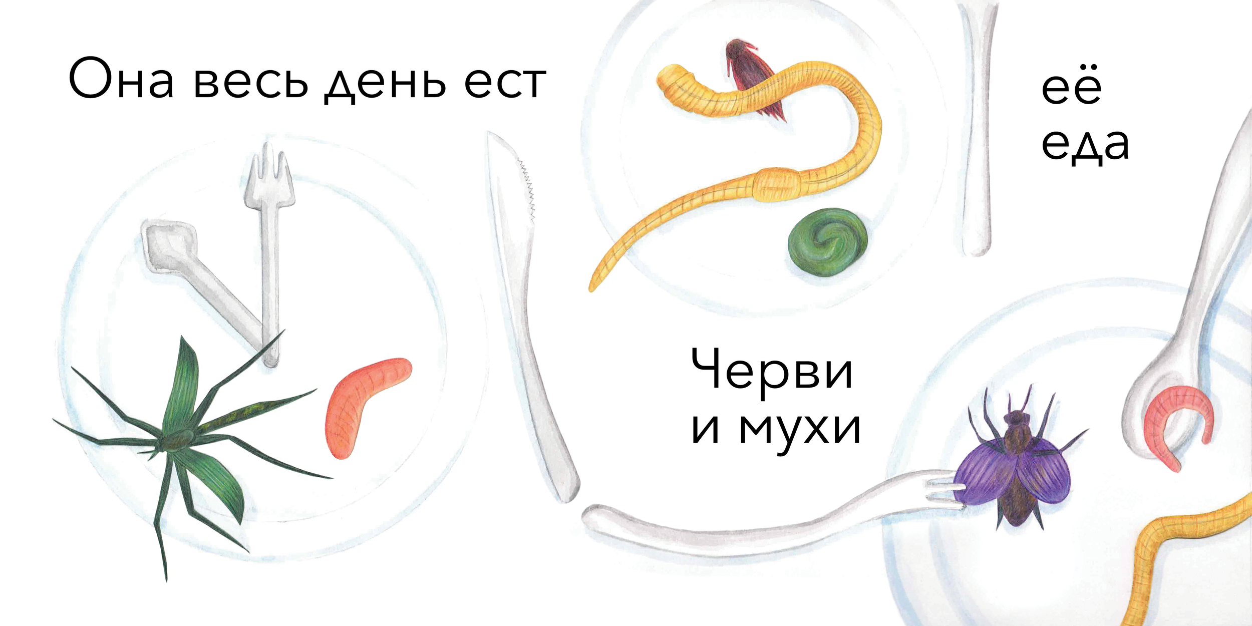 Жаба и жук 08 RGB.png