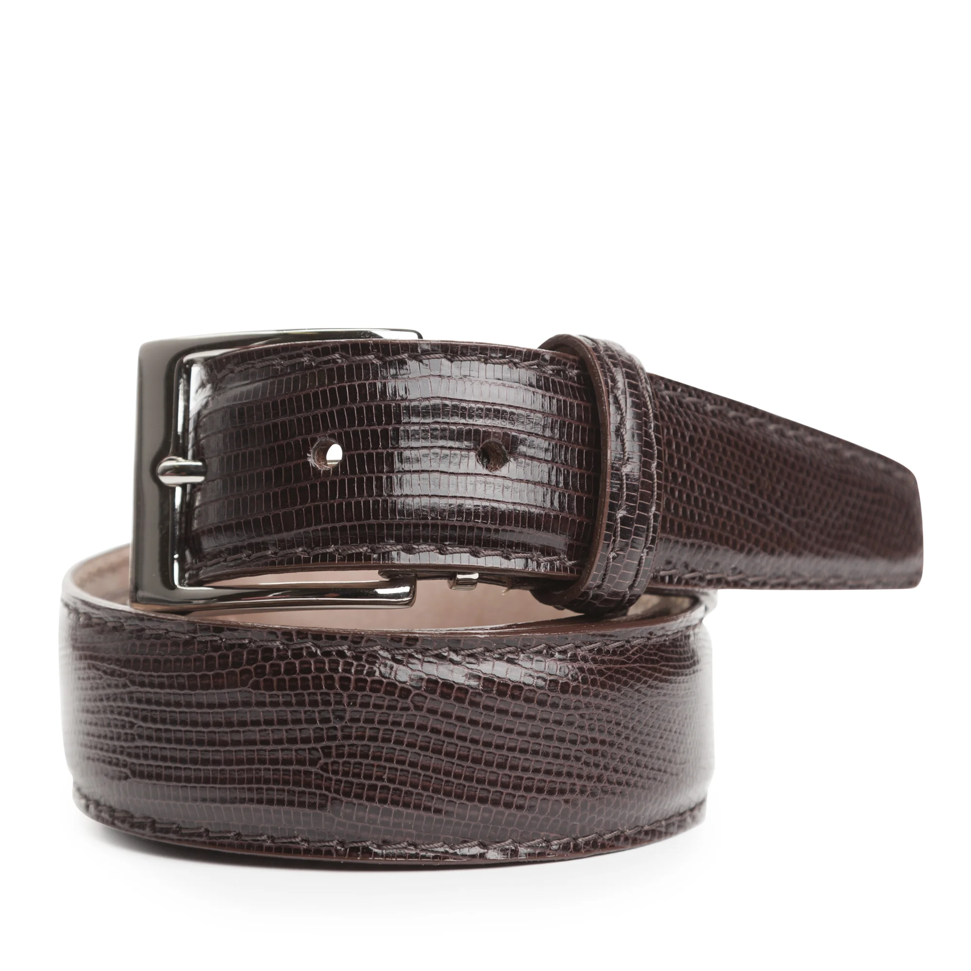 Brown-Stock-Lizard-LEN17-8496.jpg