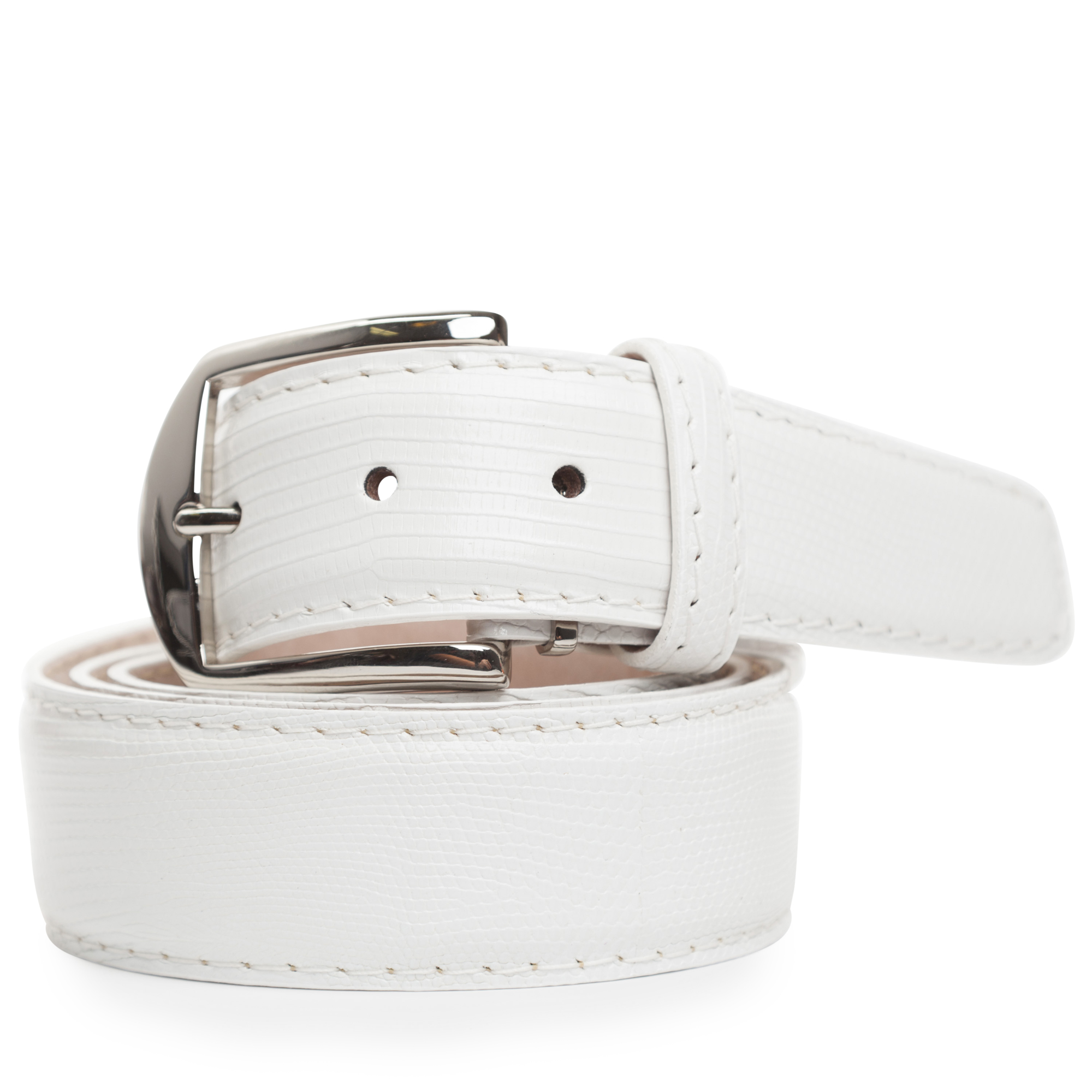 White-Stock-Lizard-LEN17-8505.jpg