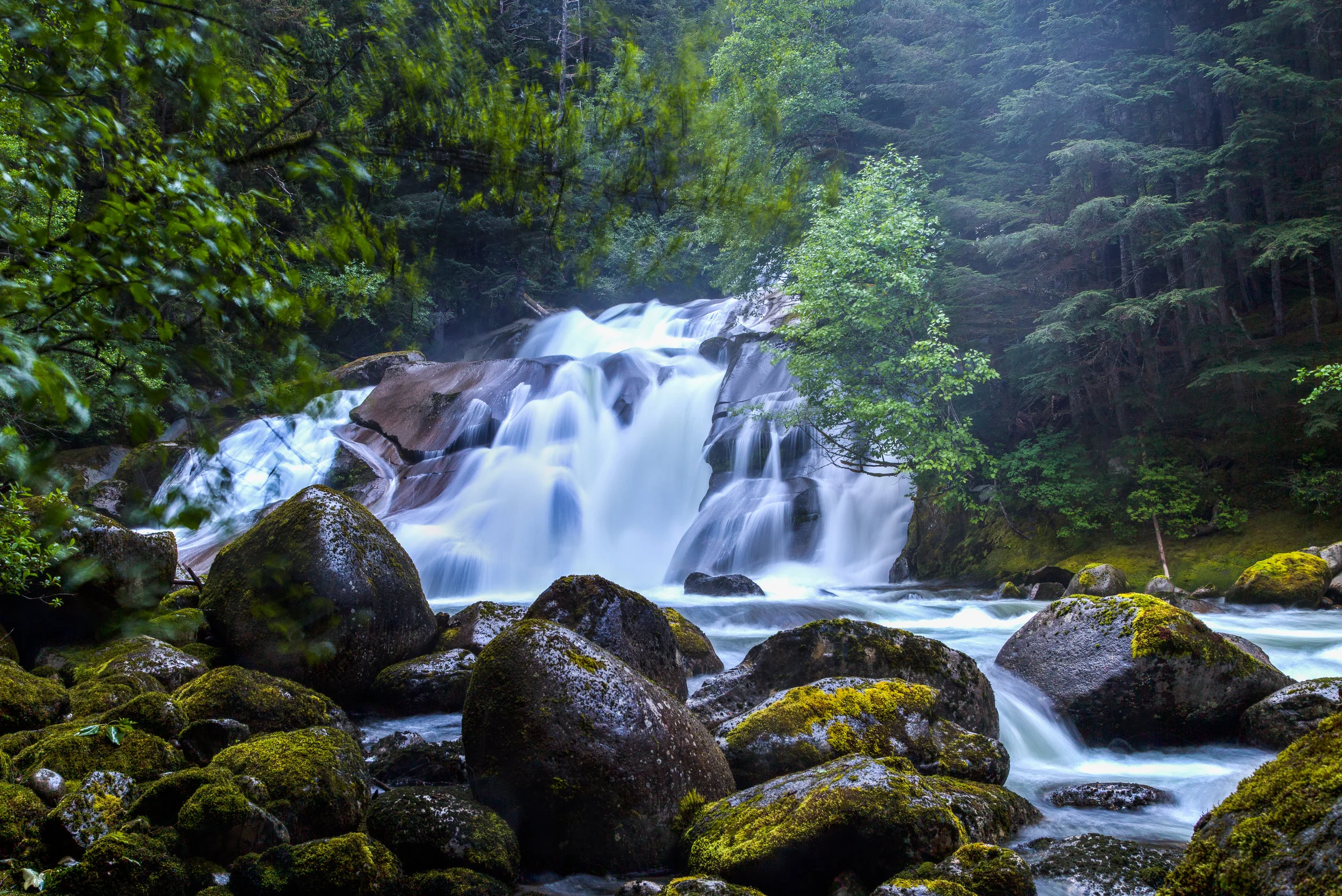 _MG_8390_1_2HDR-1.jpg