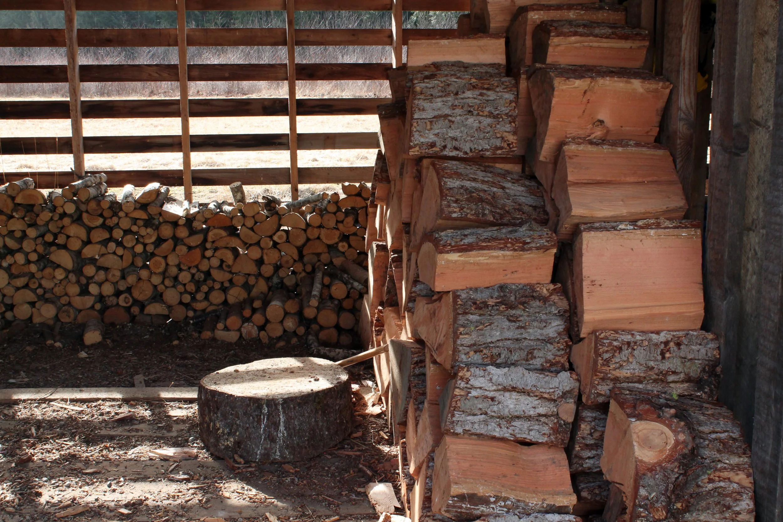 Skye Newkirk - Photochallenge II - Photo 2 Before.JPG