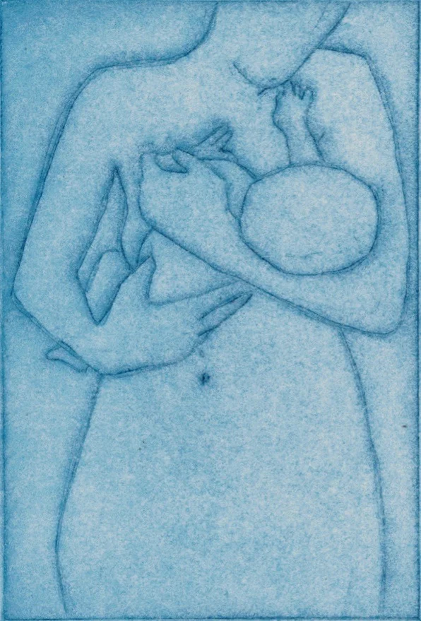 Enfold