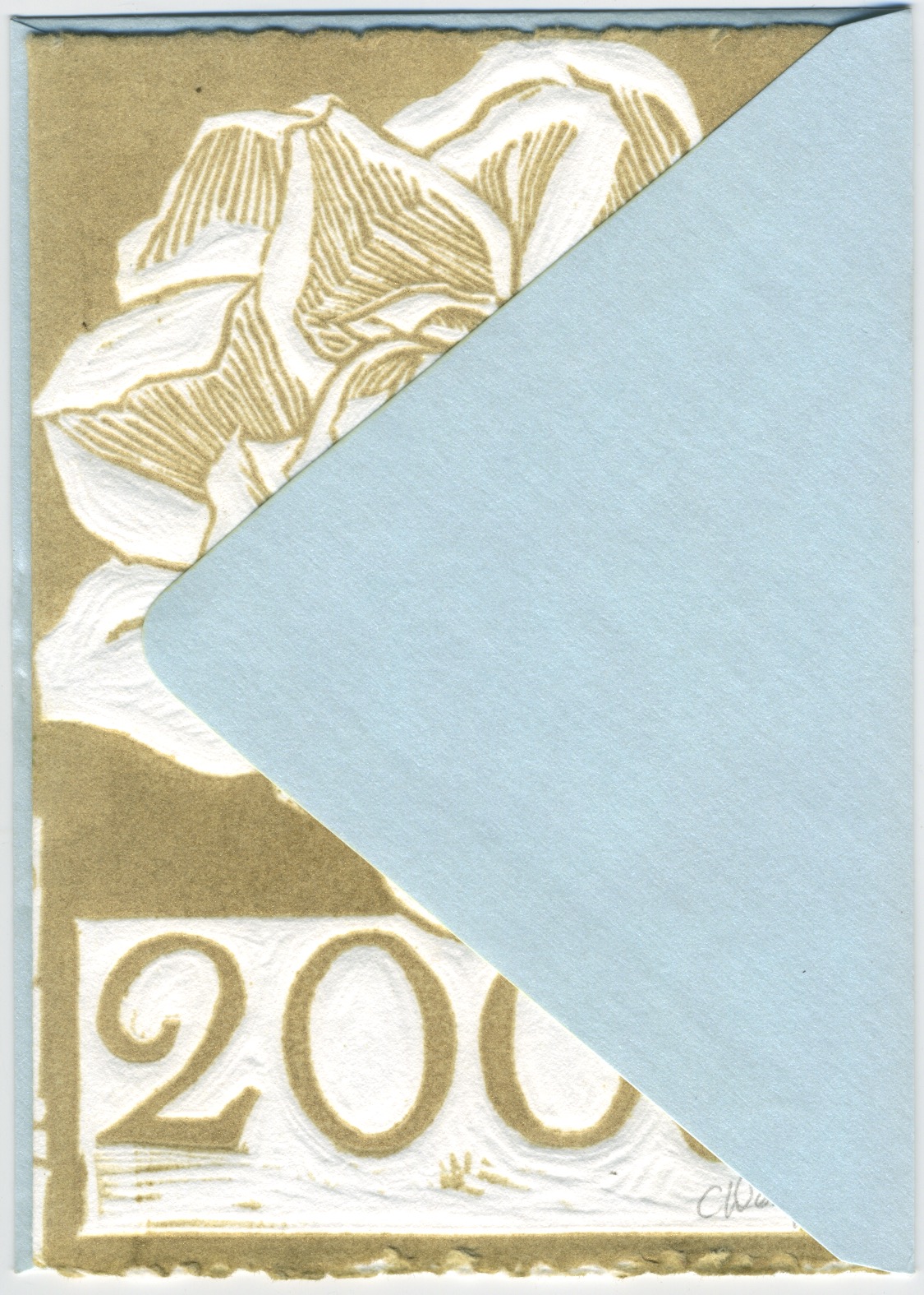 2009, envelope detail