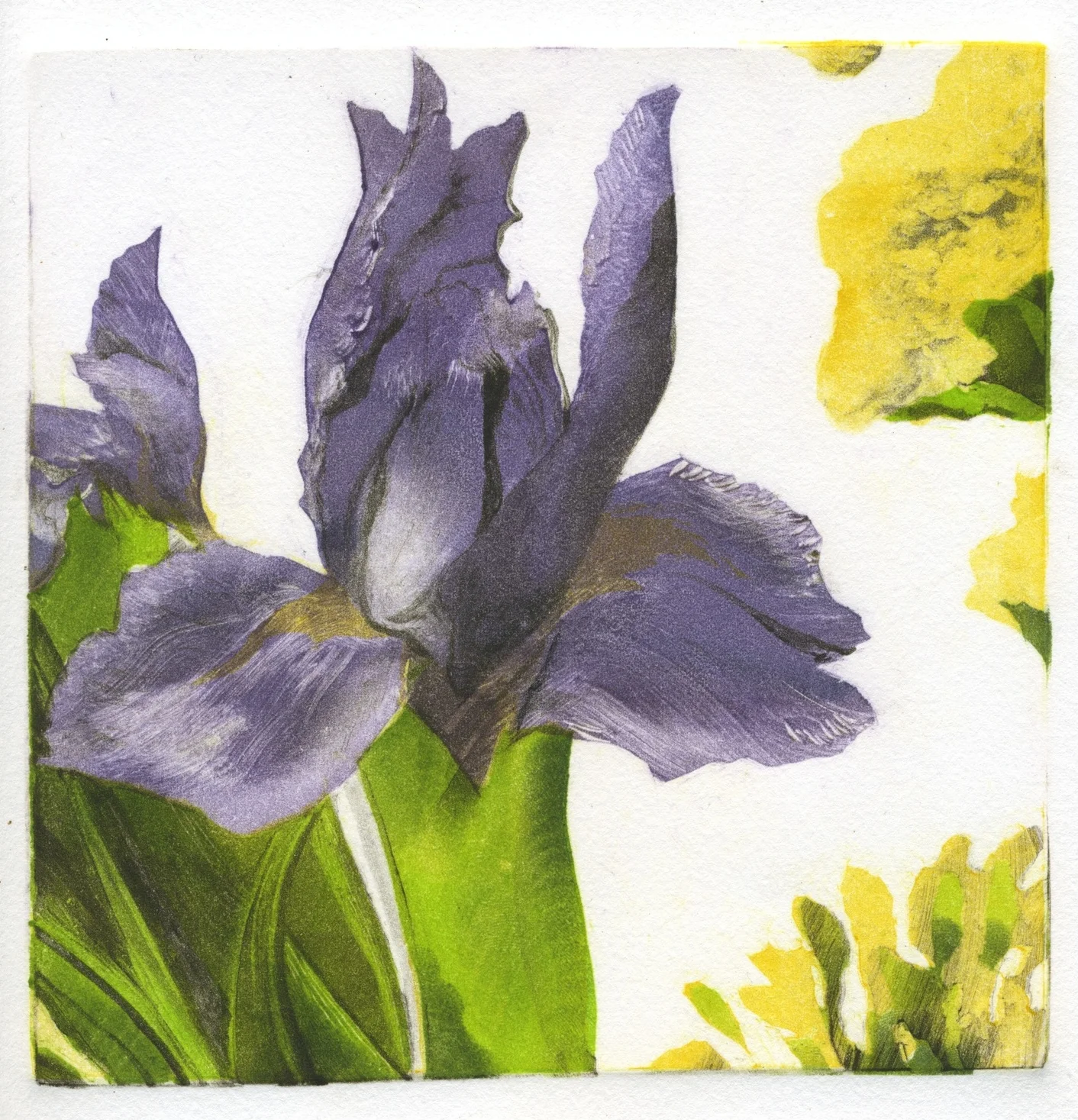 Dengel Iris Bouquet