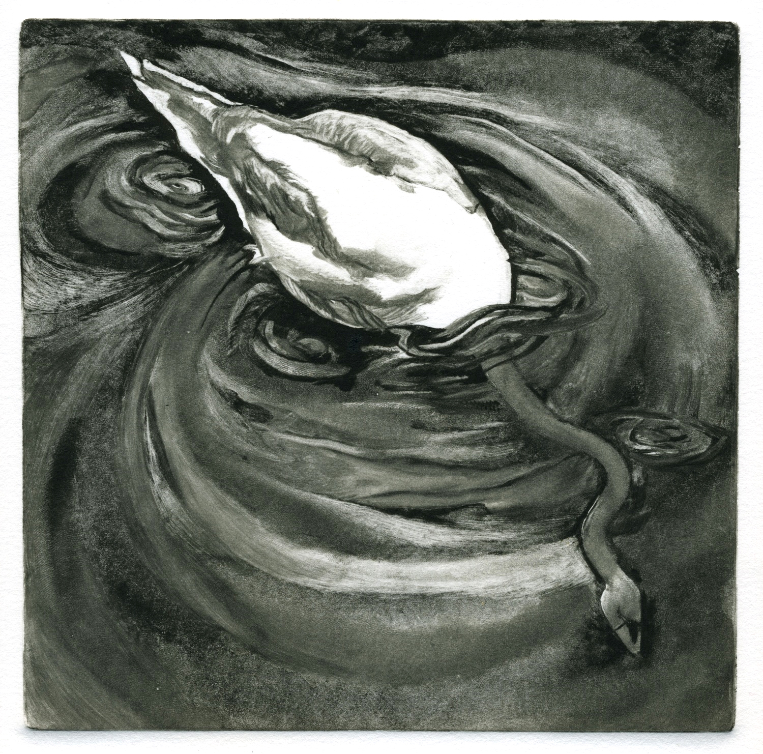 Swan Dive