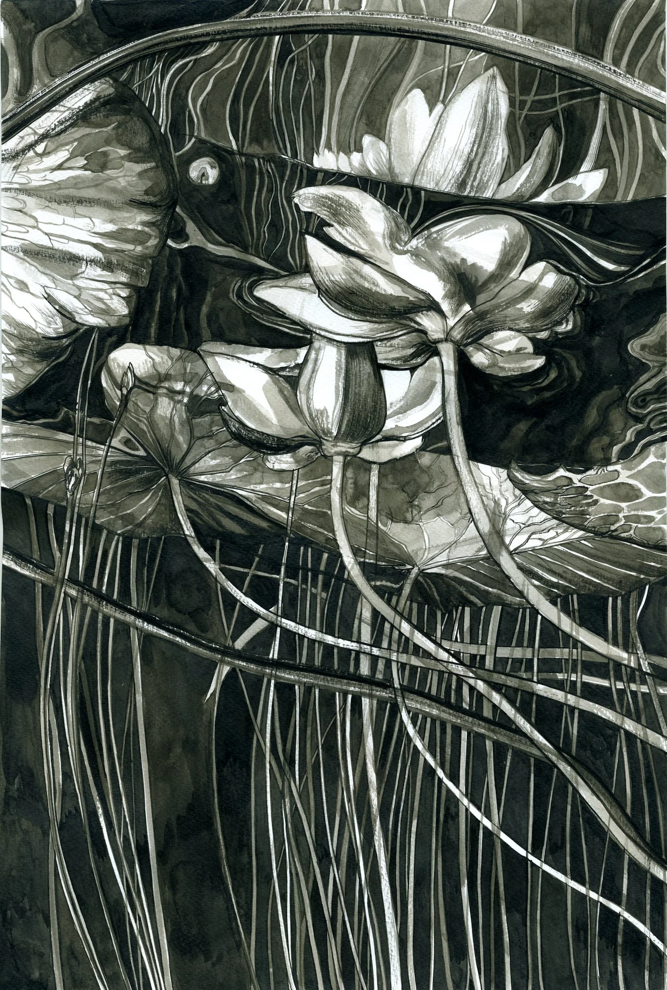 BAUM_CHRISTINE_TANGLE1_INK WASH_18X12.jpeg
