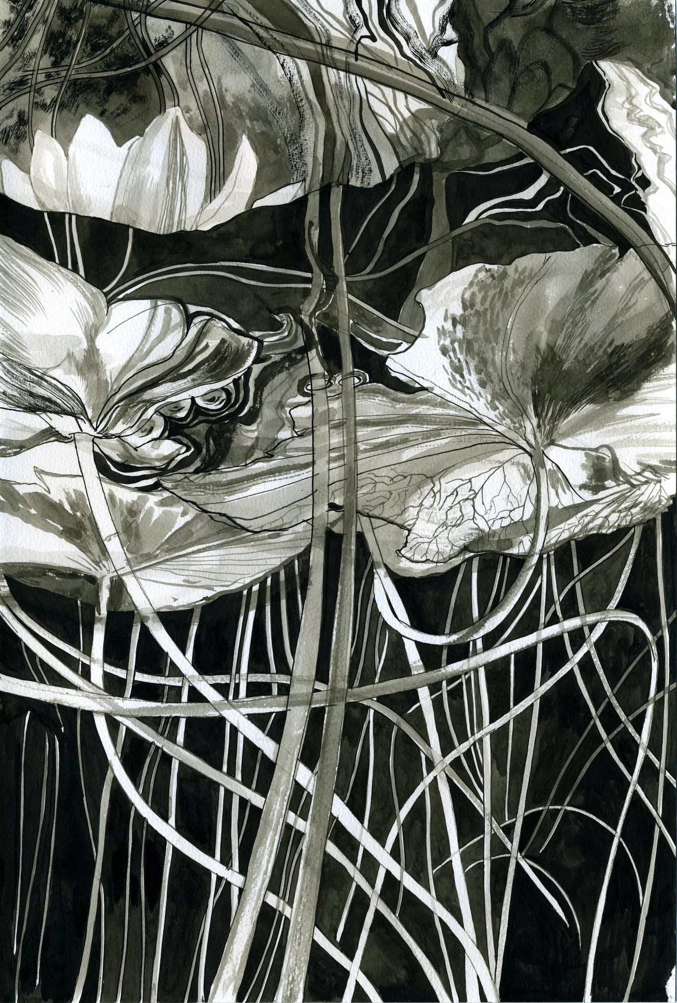 BAUM_CHRISTINE_TANGLE2_INK WASH_18X12.jpg