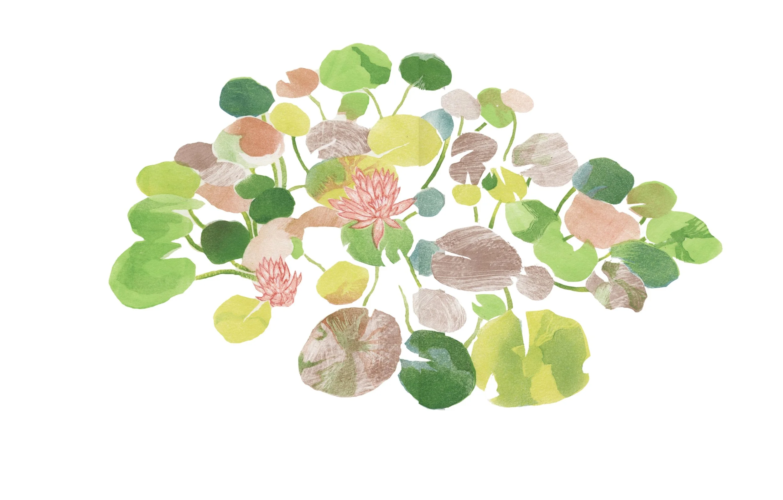 pond.jpg