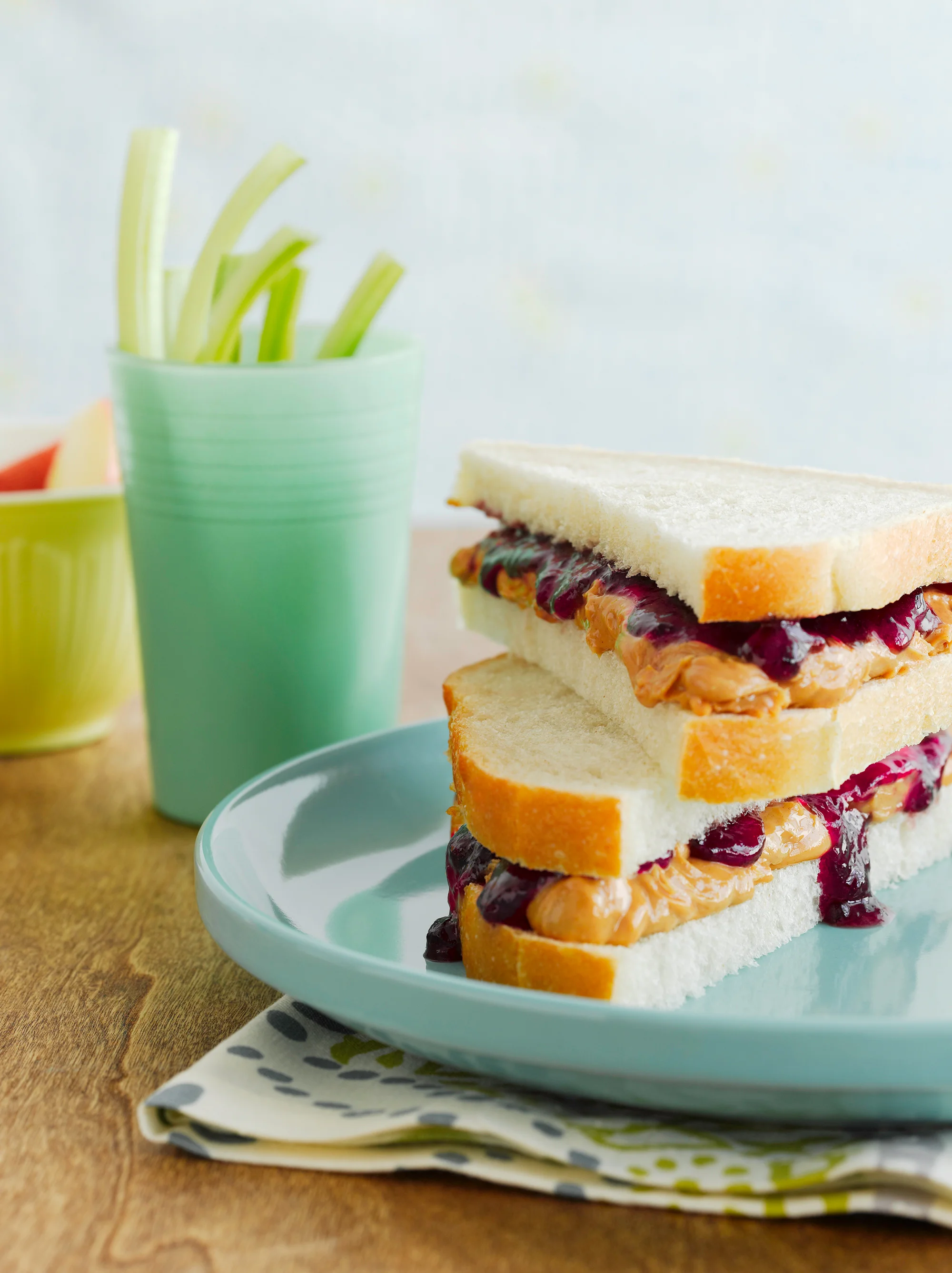 20120301_Fanny_Picnic_PBJ_132.jpg