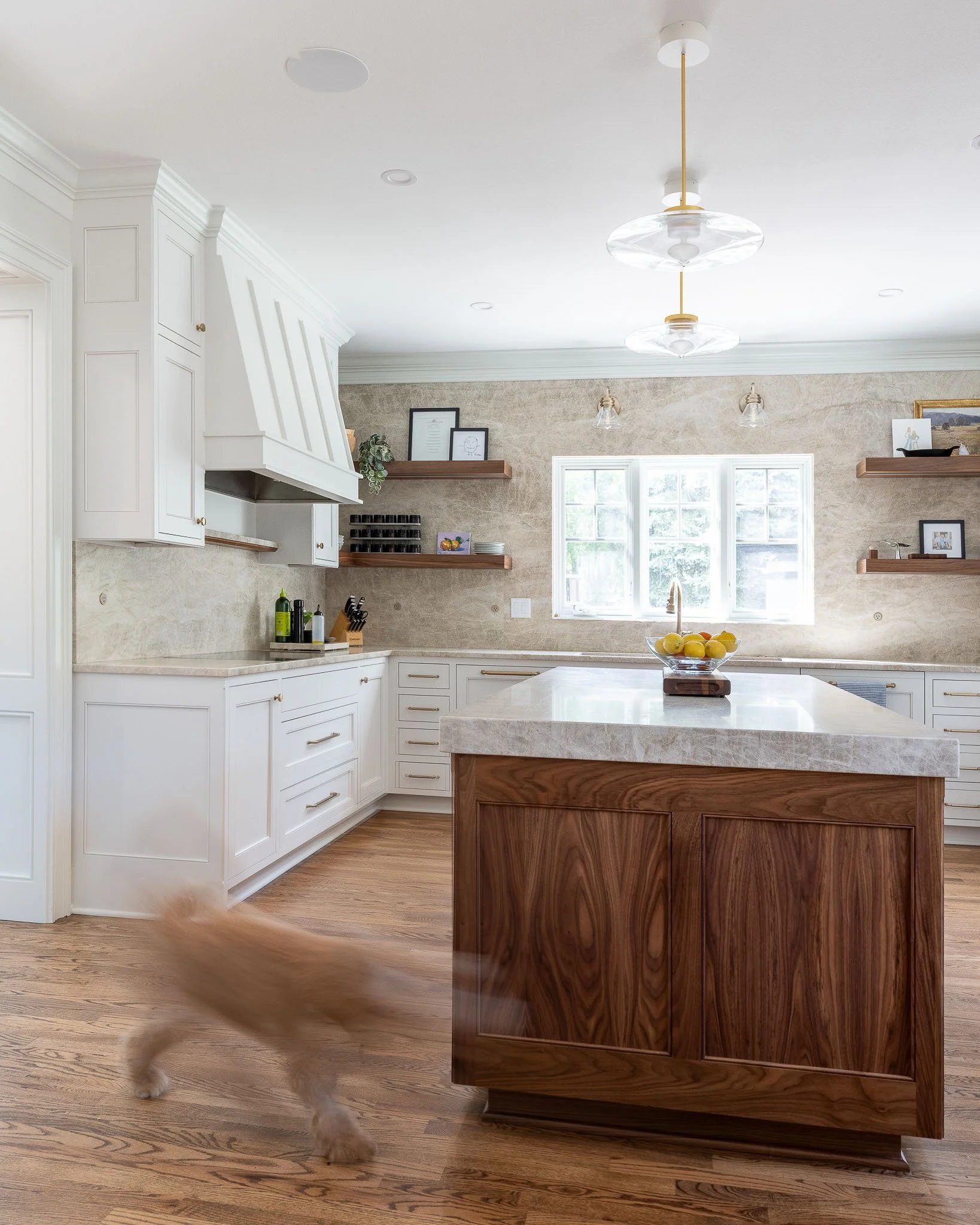 White kitchen with golden retriever, walnut island base, white paneled range hood, globe pendant, and open wood shelving — Milwaukee residential interior photography