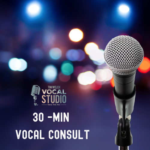 Vocal Consult-2.png
