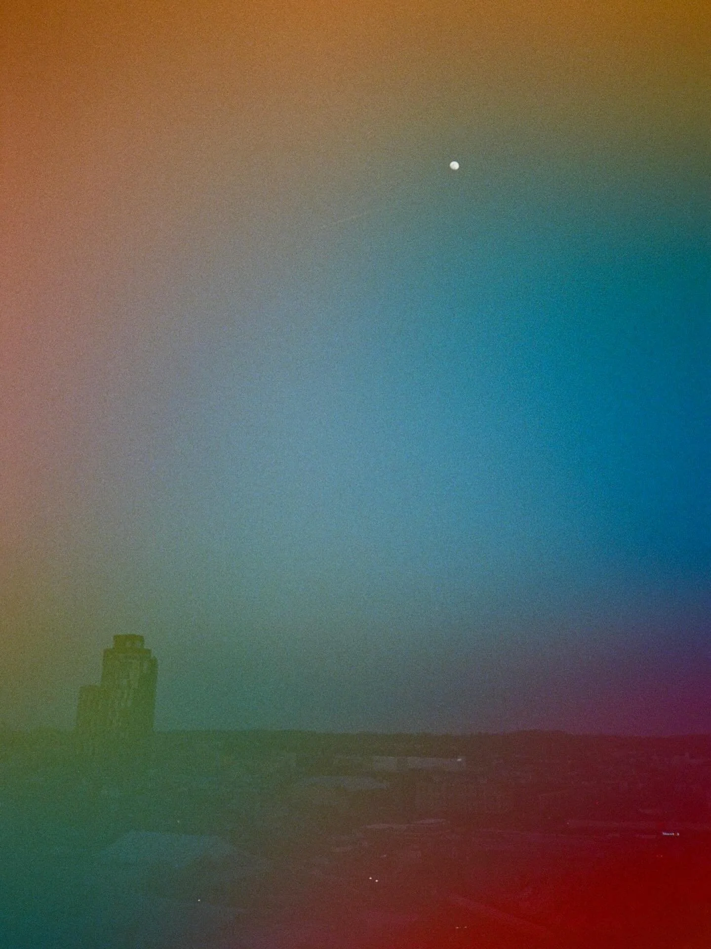 𝕊𝕡𝕣𝕚𝕟𝕘 🌝🌸🌻~ film dump 🎞️&thinsp;
&thinsp;
Dev + scan: @westlabnyc 
Film: @revolog_films