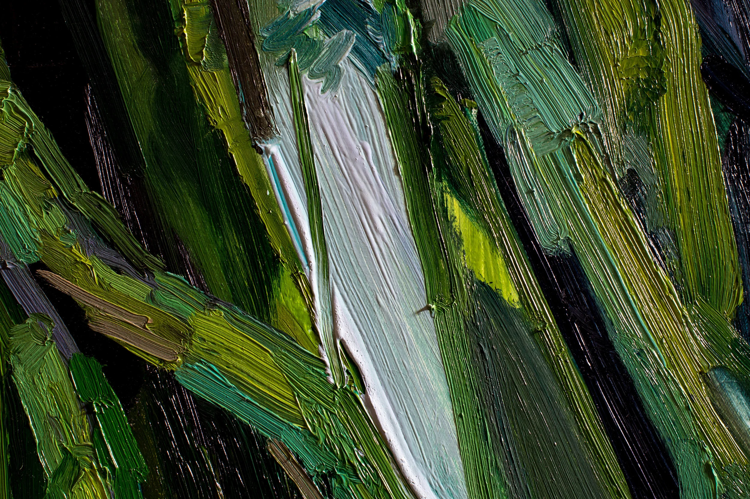 Claire Sherman-62.jpg