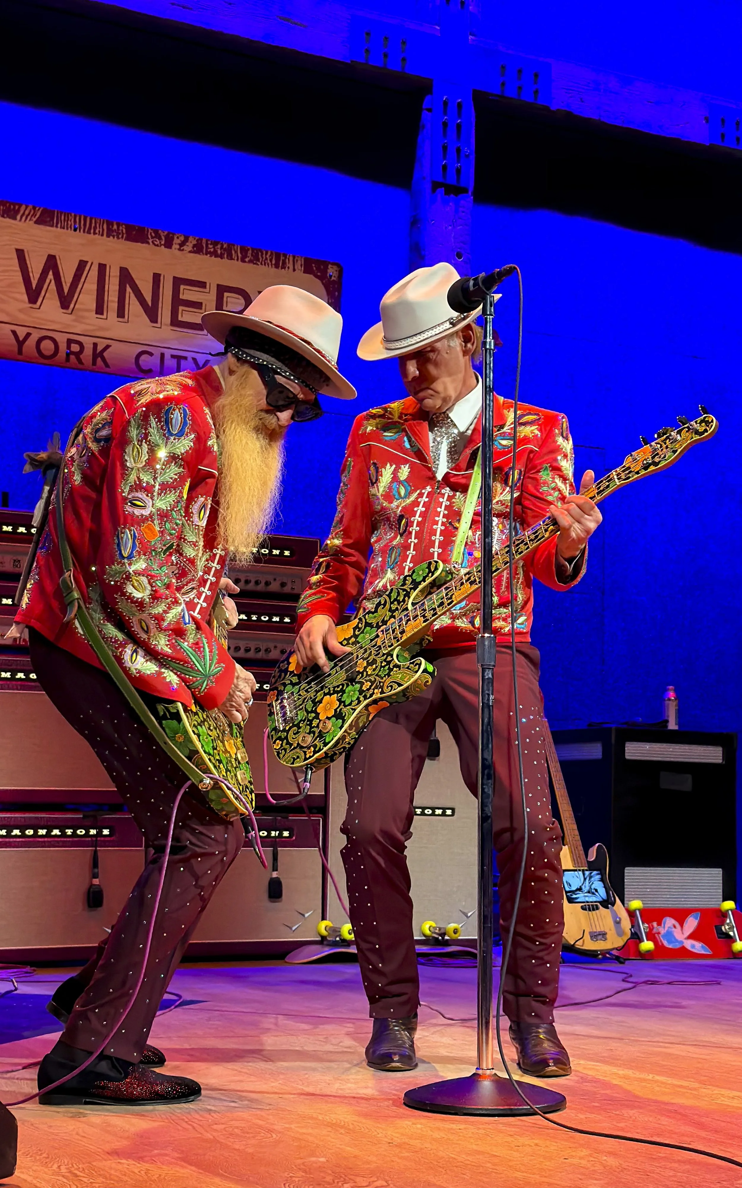 Billy Gibbons by Robert Banat.jpg