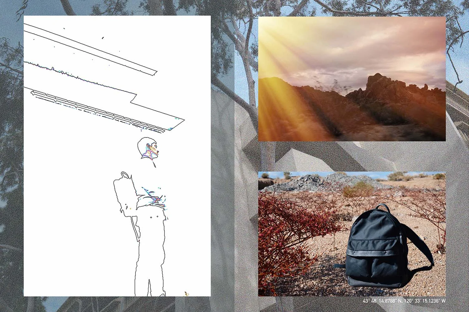 web_layout ander.jpg