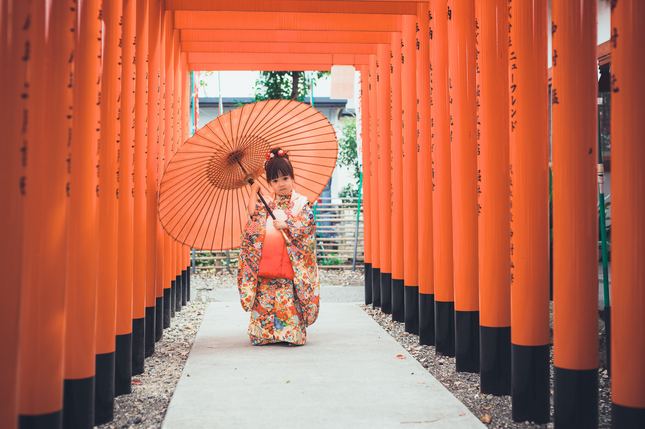 七五三　Shichi-Go-San Photography for Nagoya, Japan