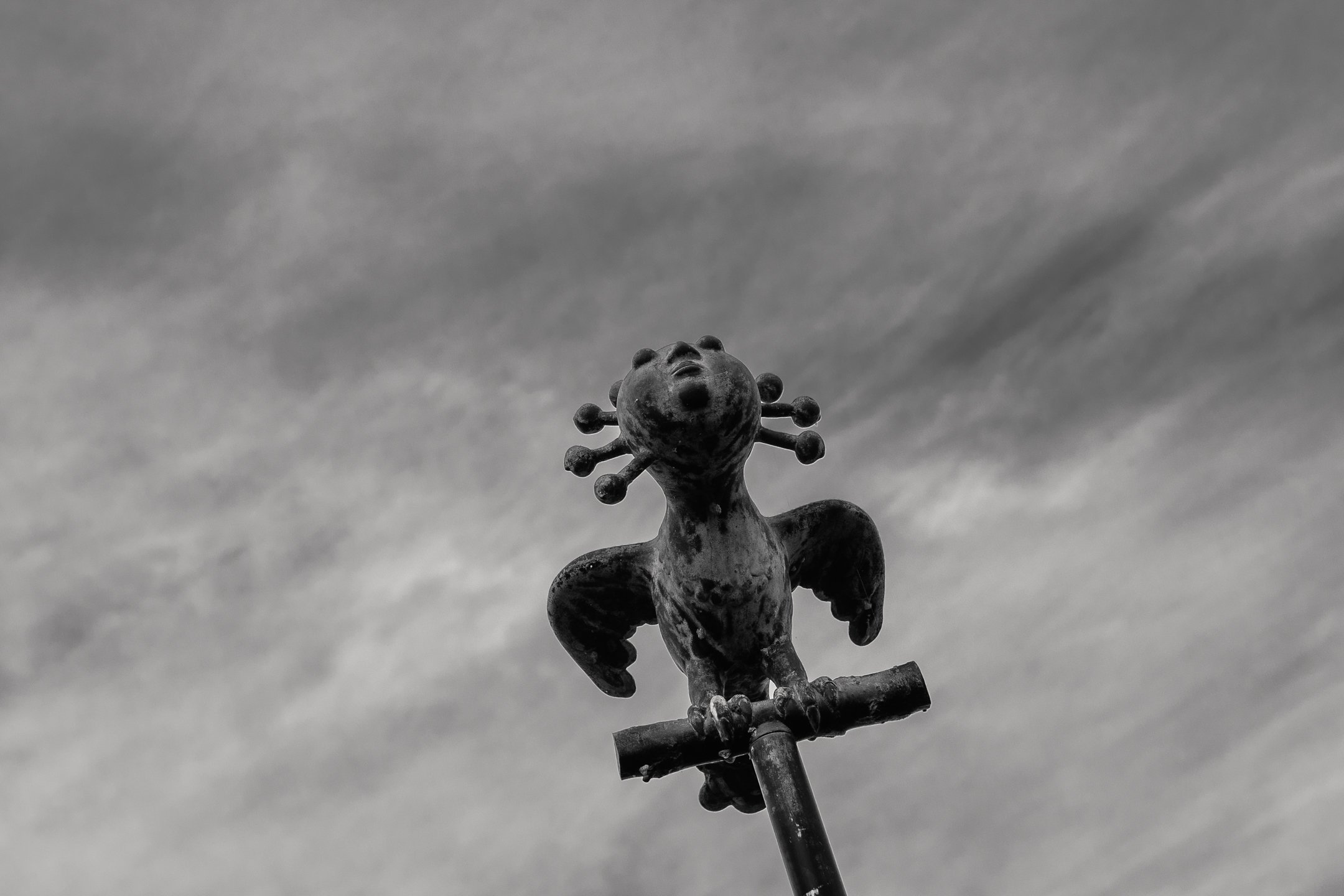198A7240.jpg